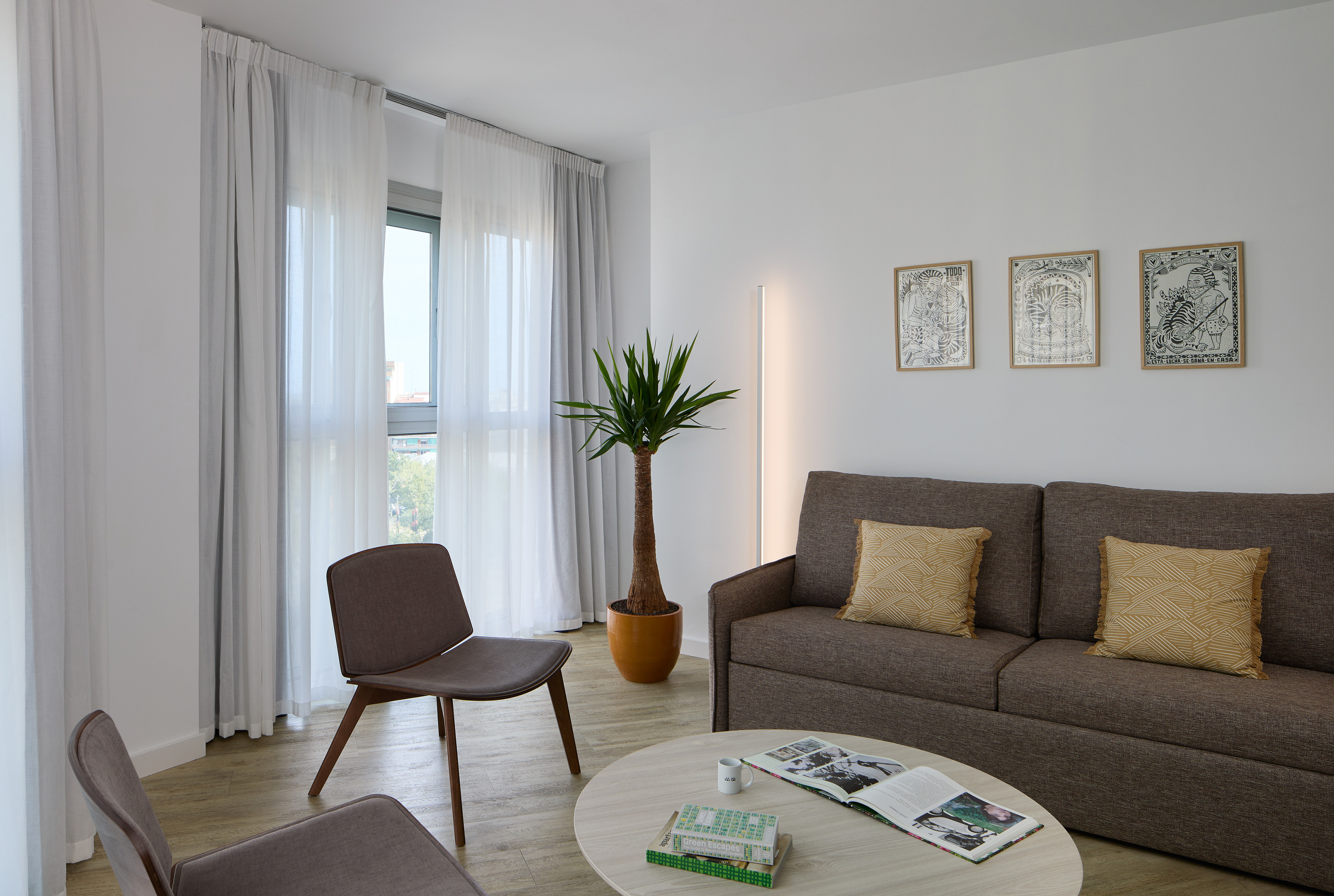 Modern living room with sofa, coffee table, plant, and bright window.