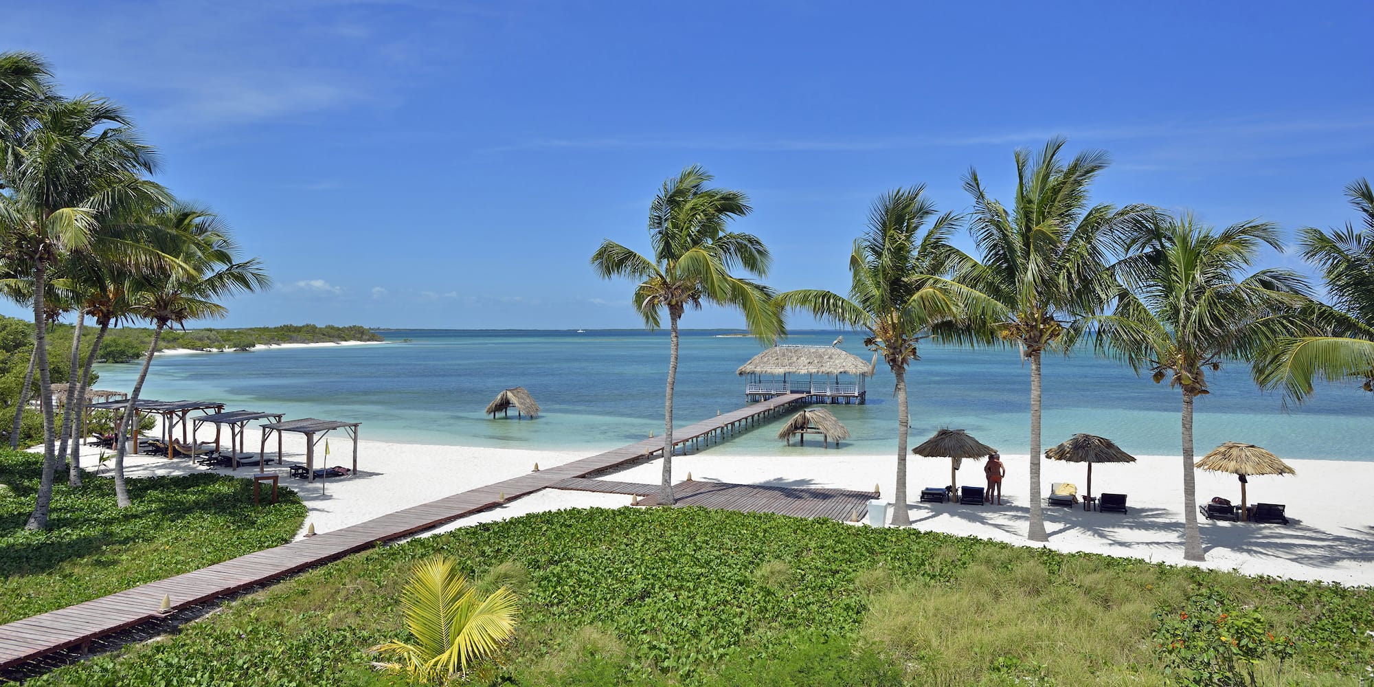 a beach with palm trees and a dock