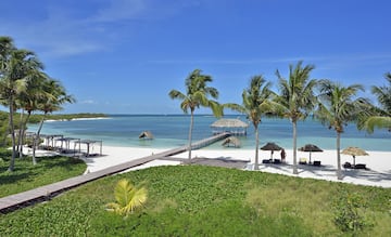 a beach with palm trees and a dock