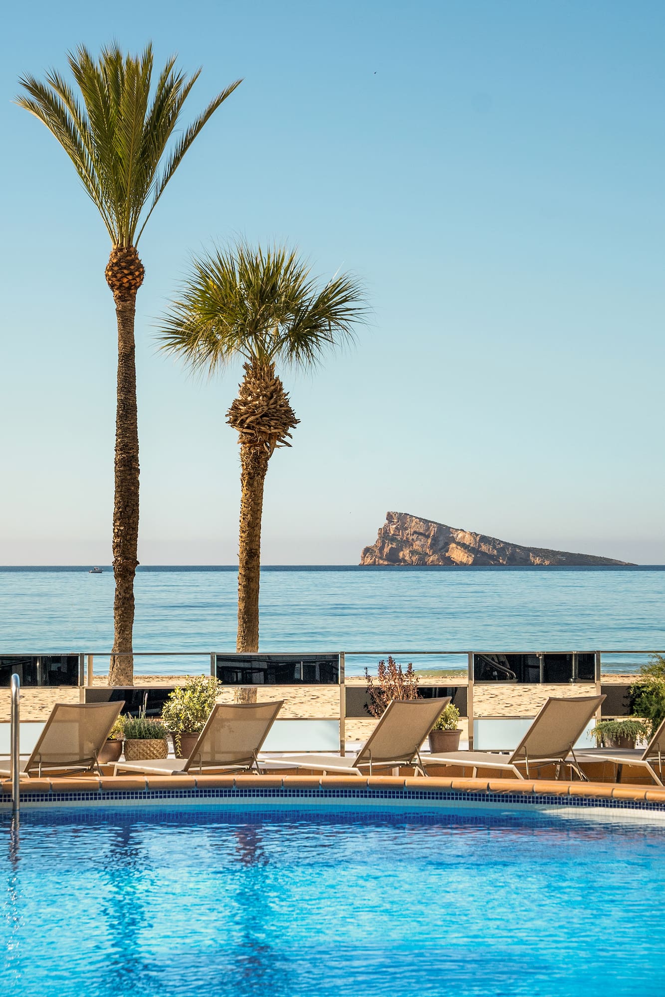 a pool with chairs and palm trees on a beach