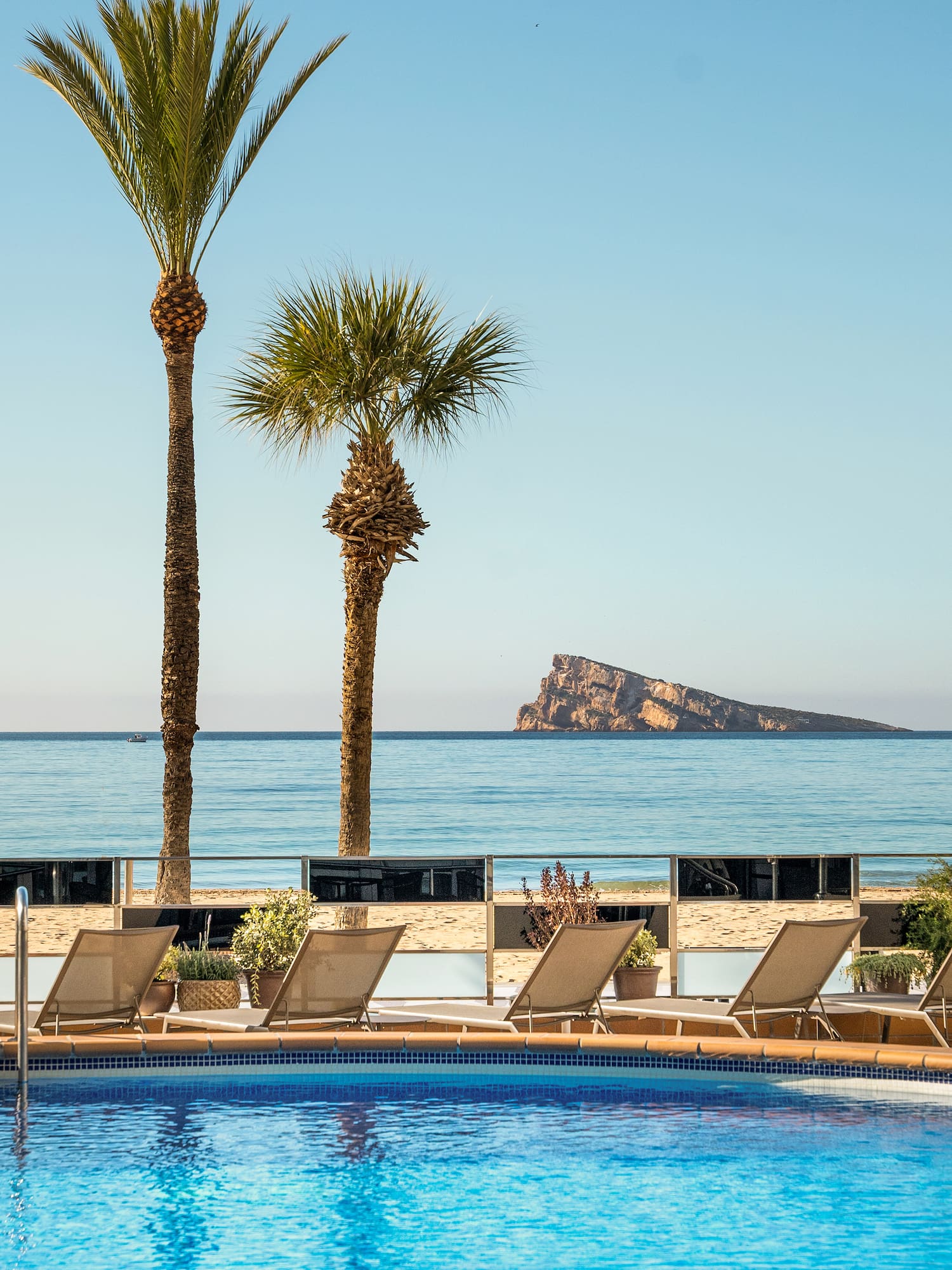 a pool with chairs and palm trees on a beach