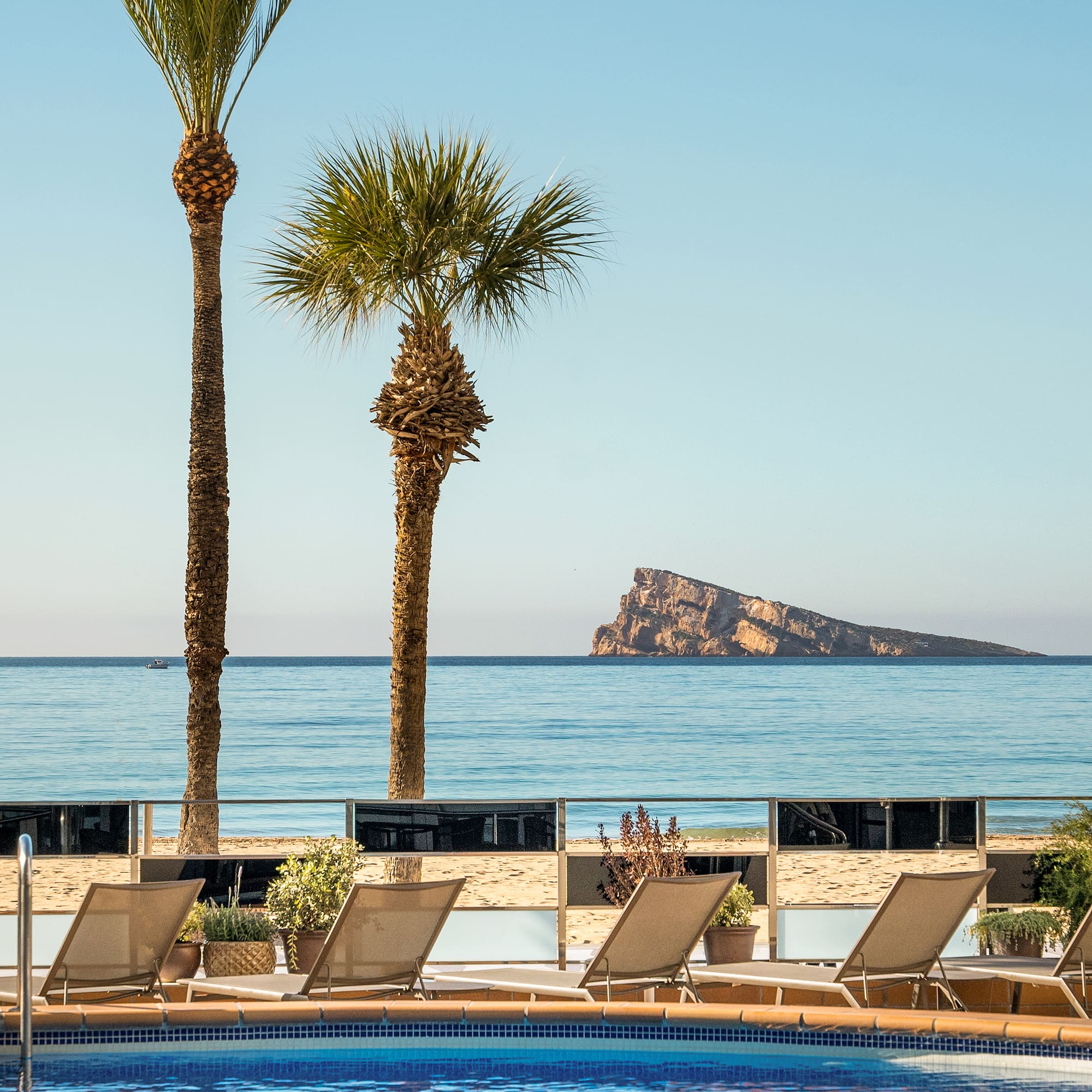 a pool with chairs and palm trees on a beach