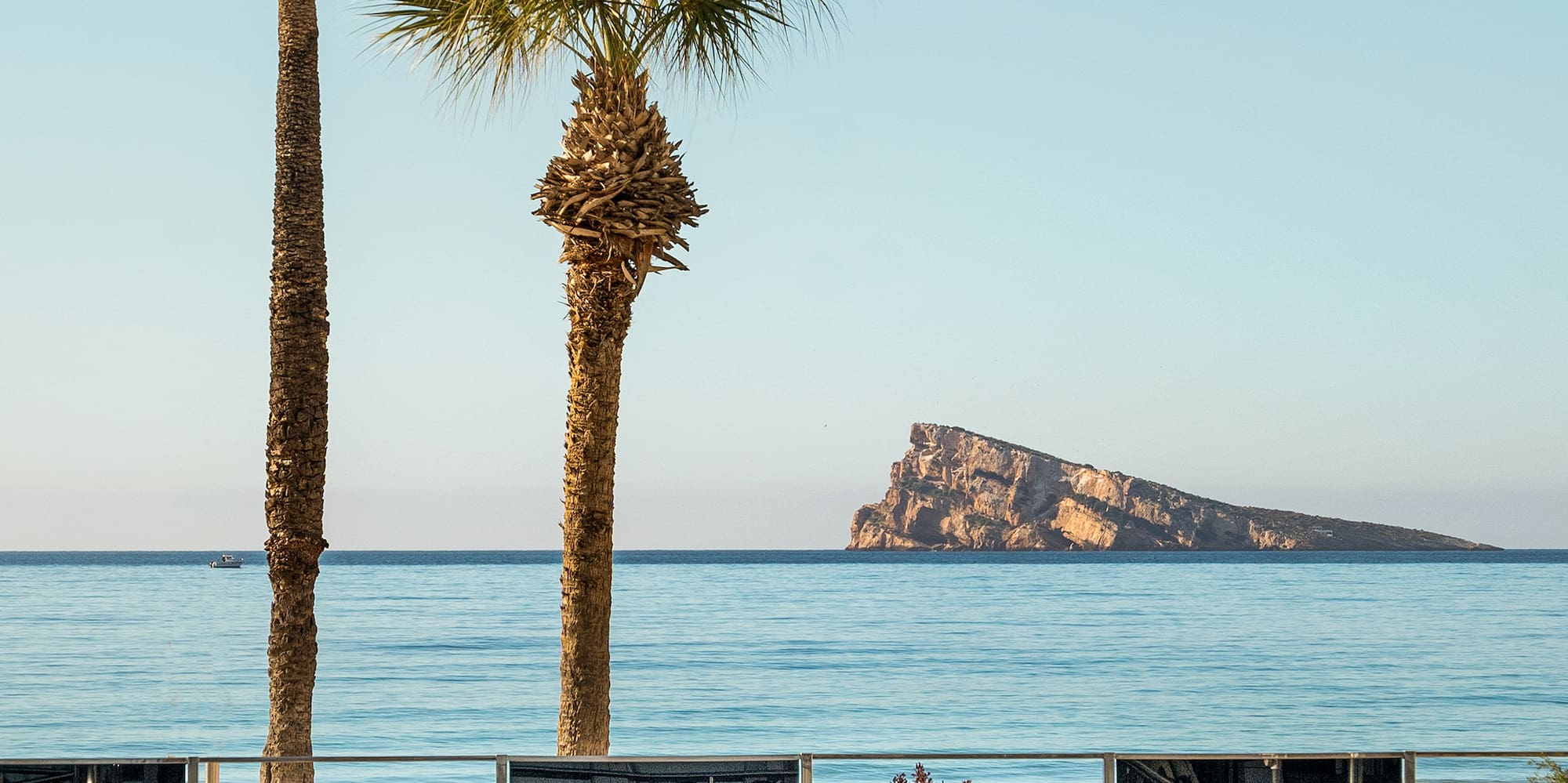 a pool with chairs and palm trees on a beach