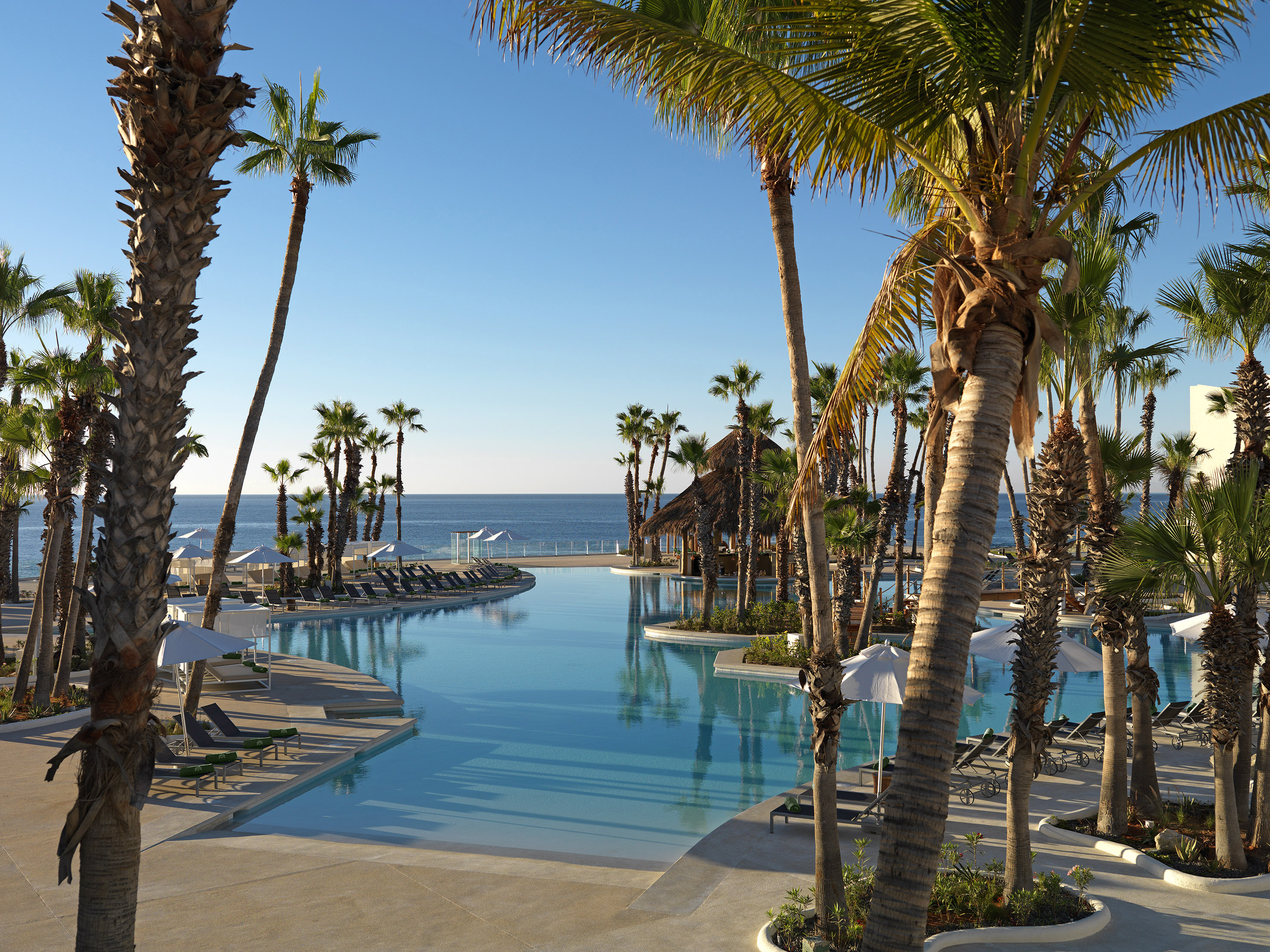 a pool with palm trees and chairs and umbrellas