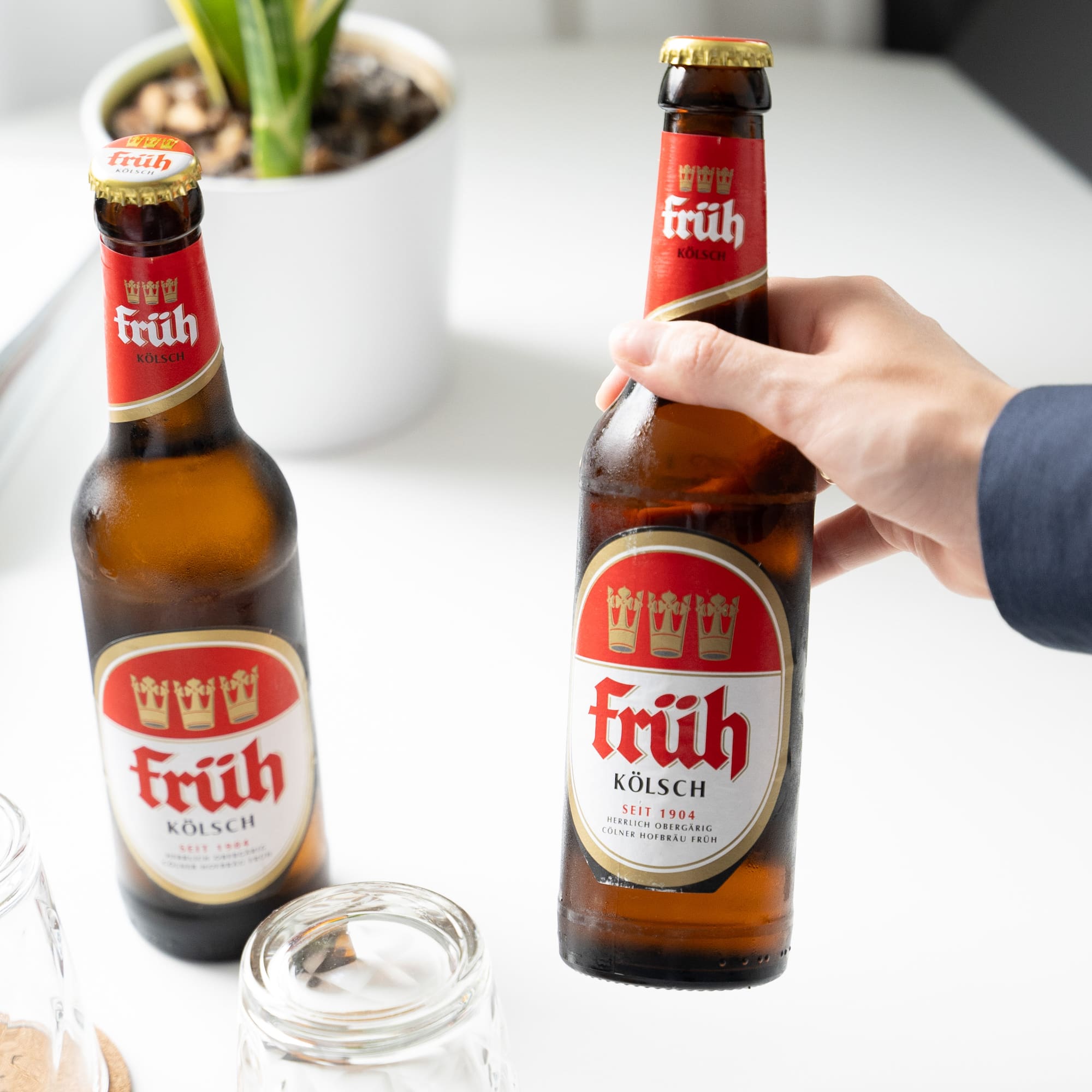 a hand holding a bottle of beer