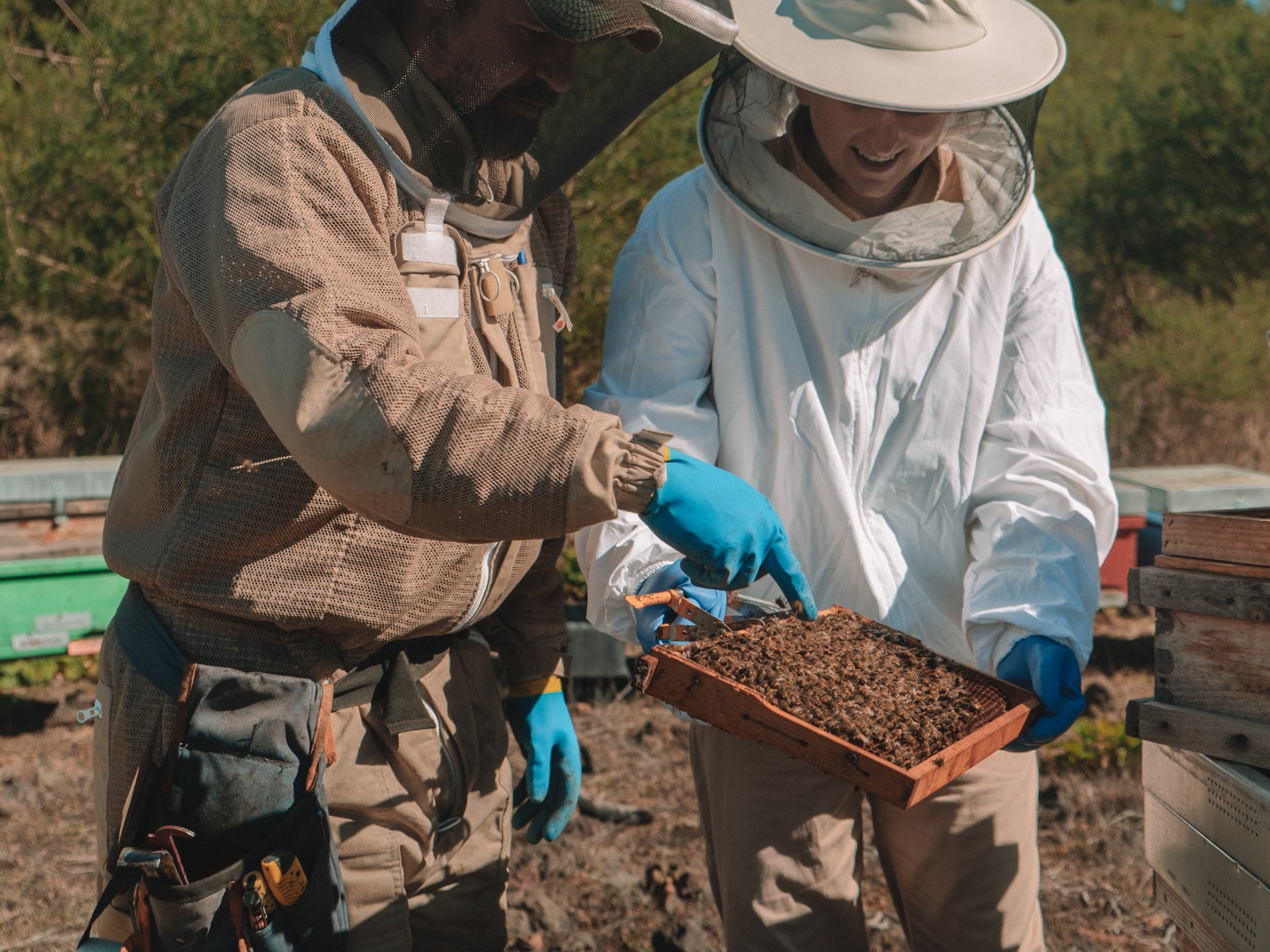 a couple of beekeepers holding a box of dirt