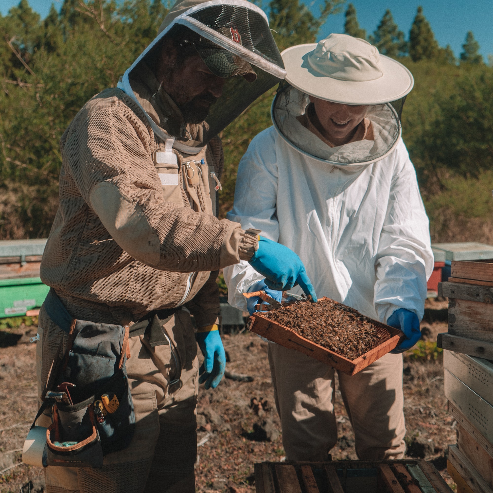 a couple of beekeepers holding a box of dirt