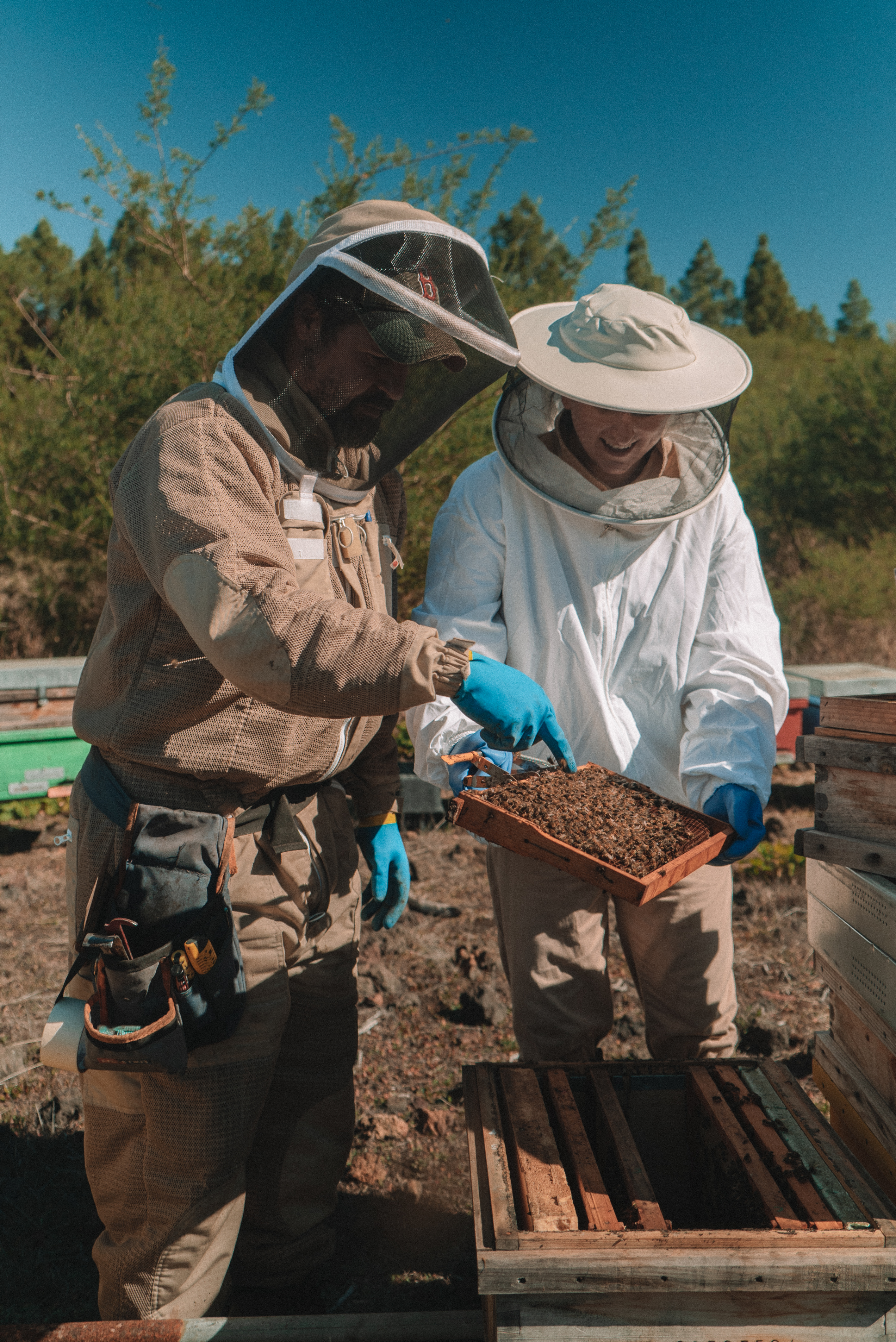a couple of beekeepers holding a box of dirt