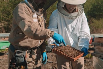 a couple of beekeepers holding a box of dirt
