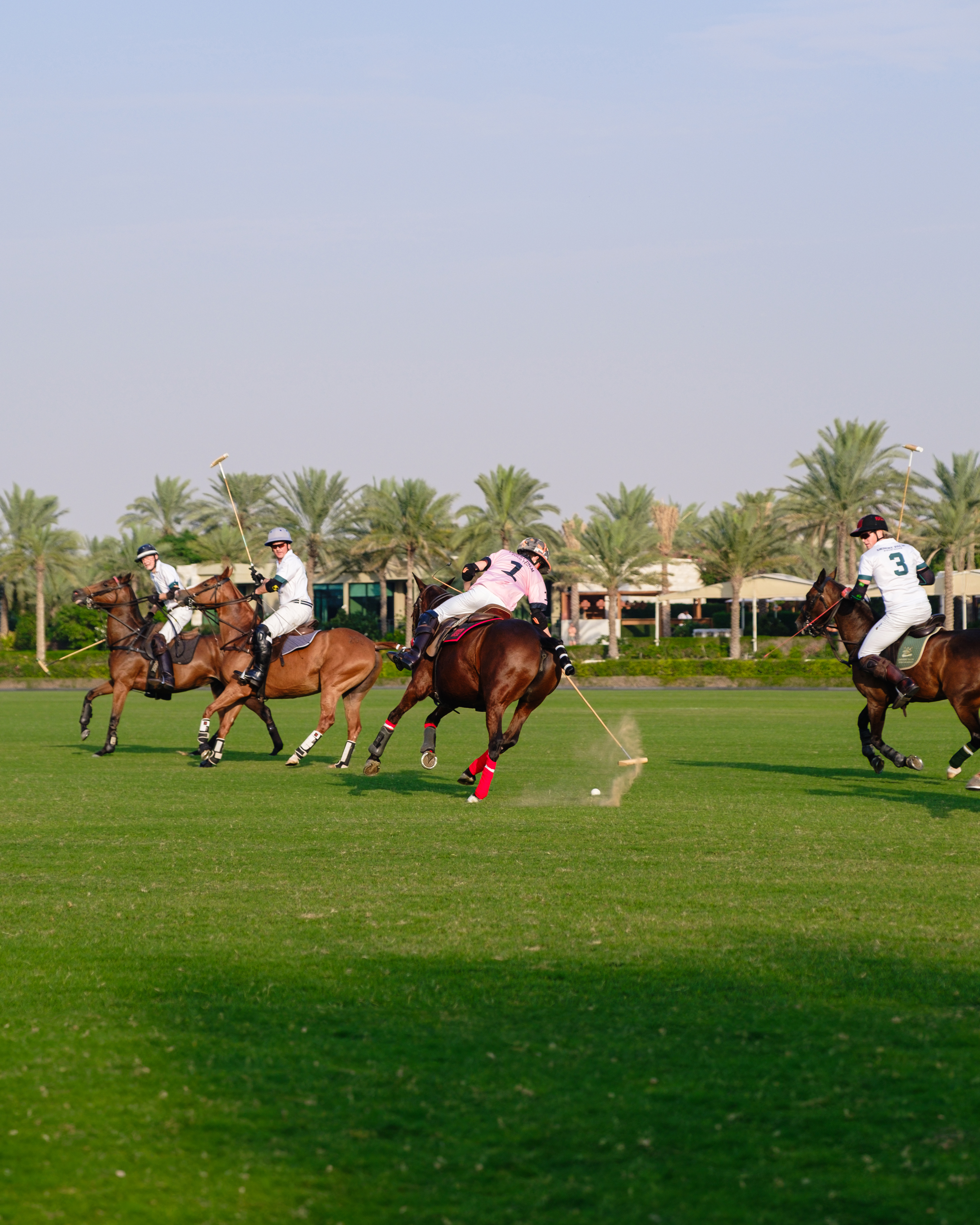 Polo players on horses striking the ball on a green field with palm trees.