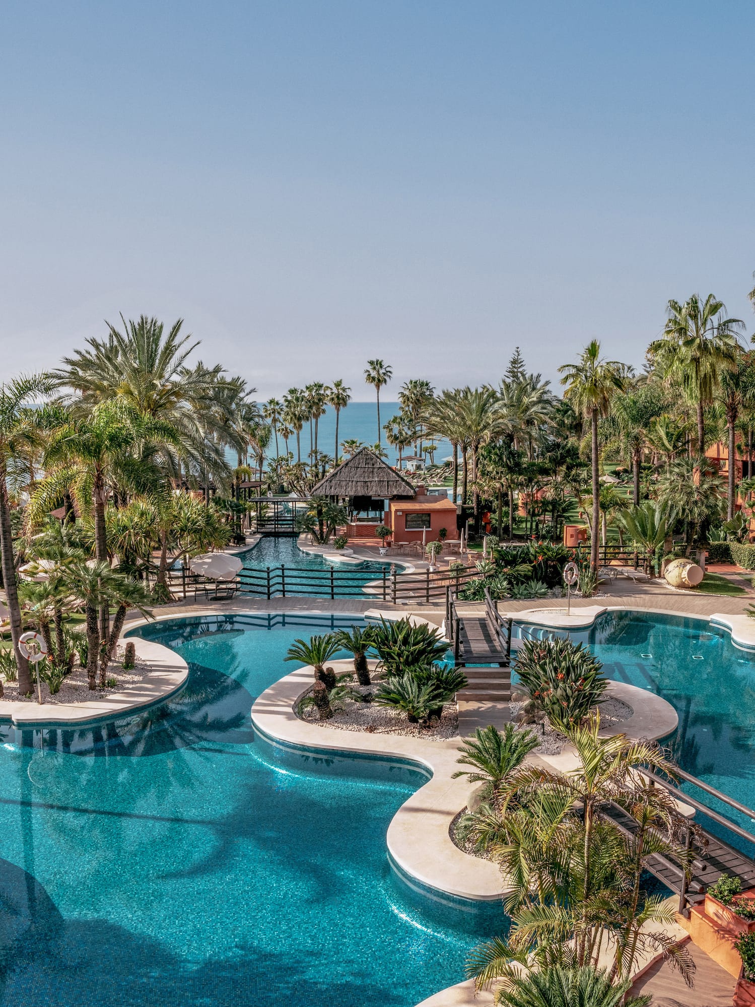 Aerial view of tropical luxury resort pool, palm trees, and ocean.