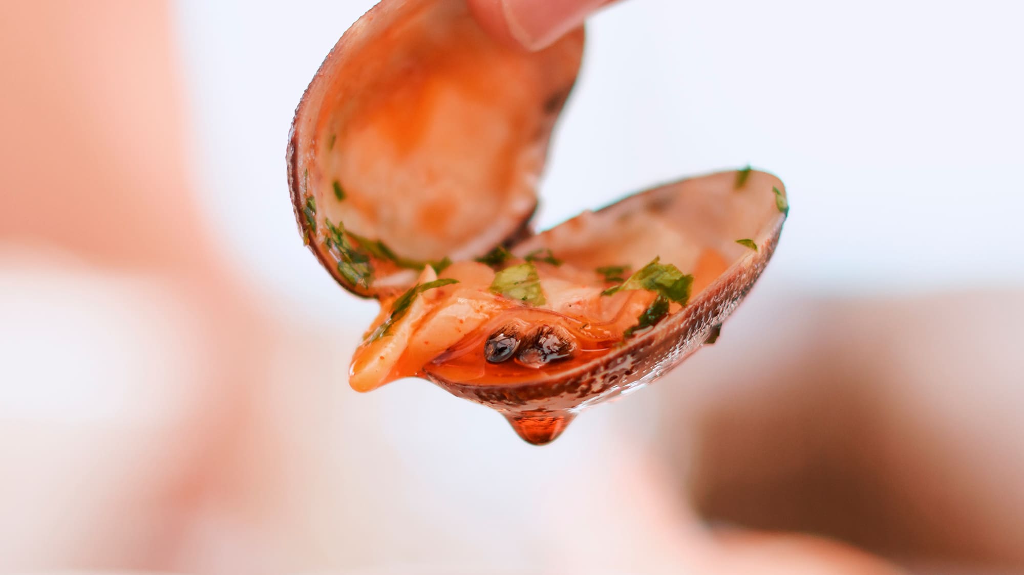 a hand holding a shell with sauce over it