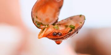 a hand holding a shell with sauce over it