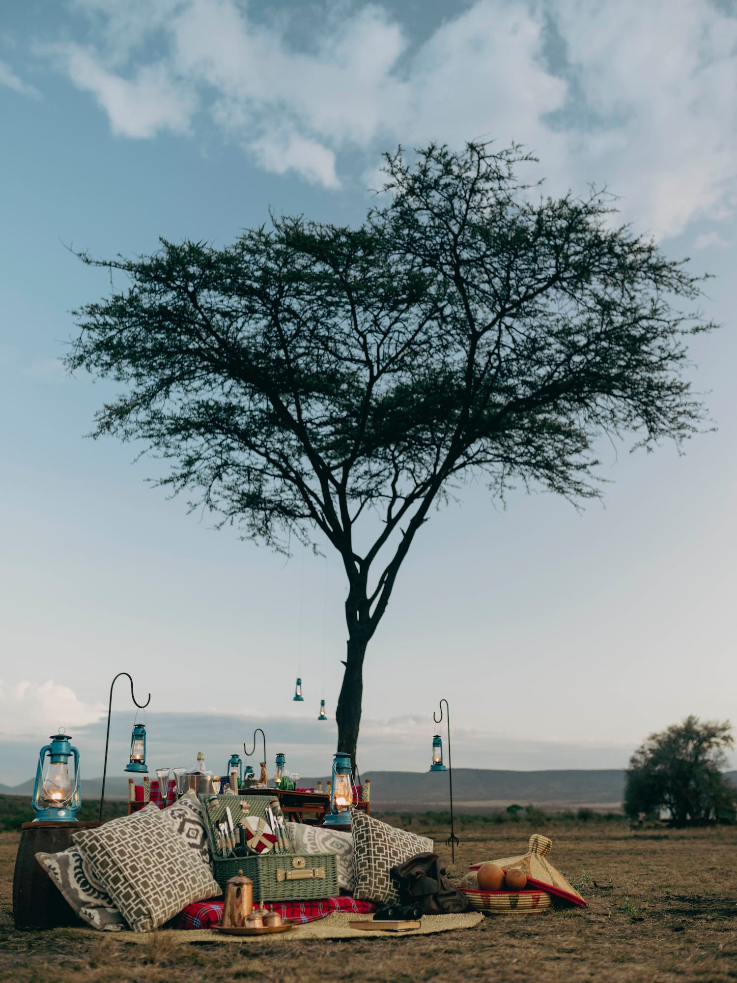 a table with pillows and blankets under a tree