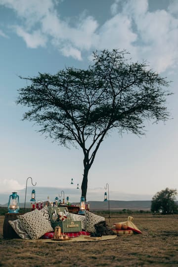 a table with pillows and blankets under a tree