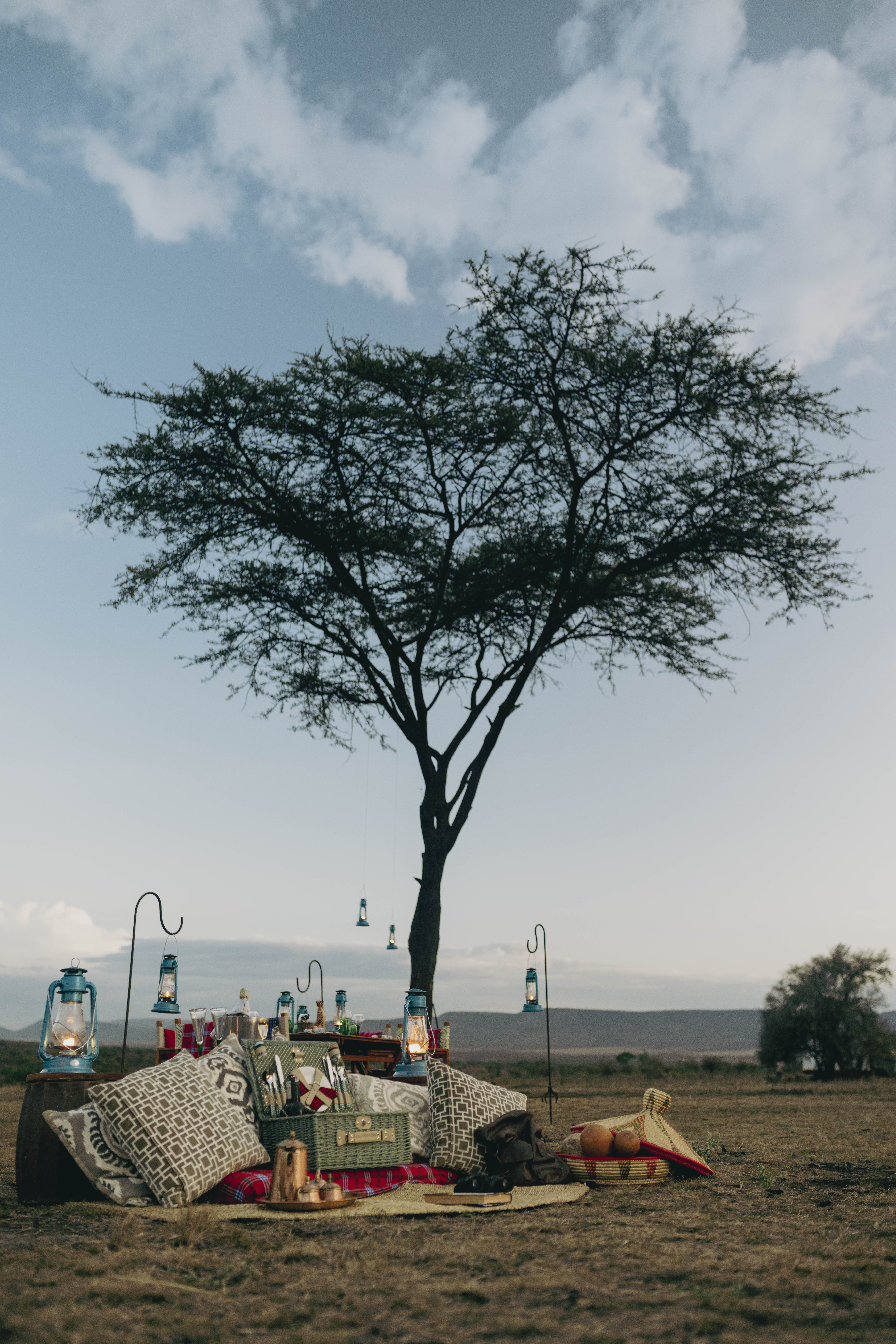 Luxury safari picnic at dusk under an acacia tree with glowing lanterns.