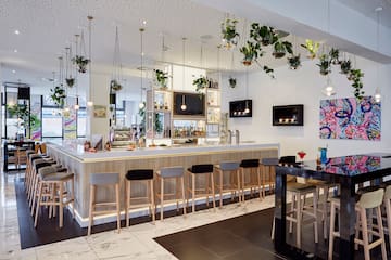 a bar with plants from the ceiling