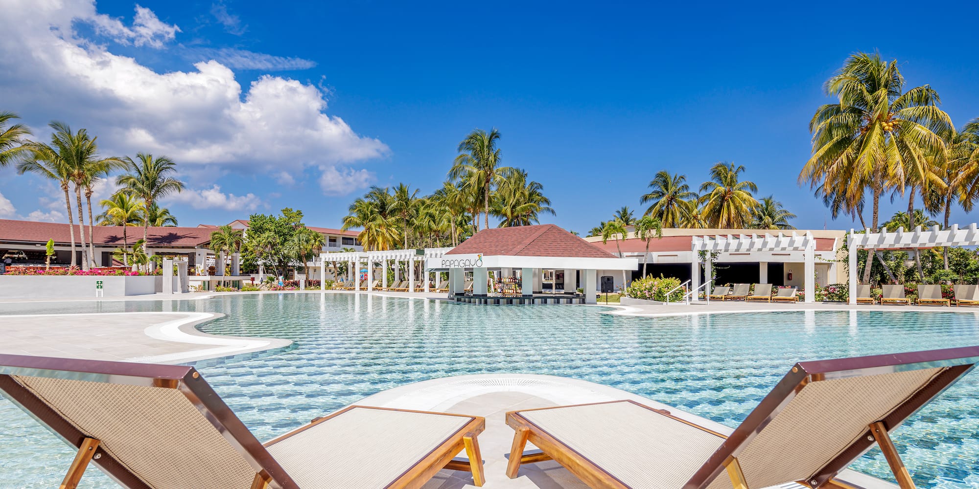 a pool with lounge chairs and palm trees