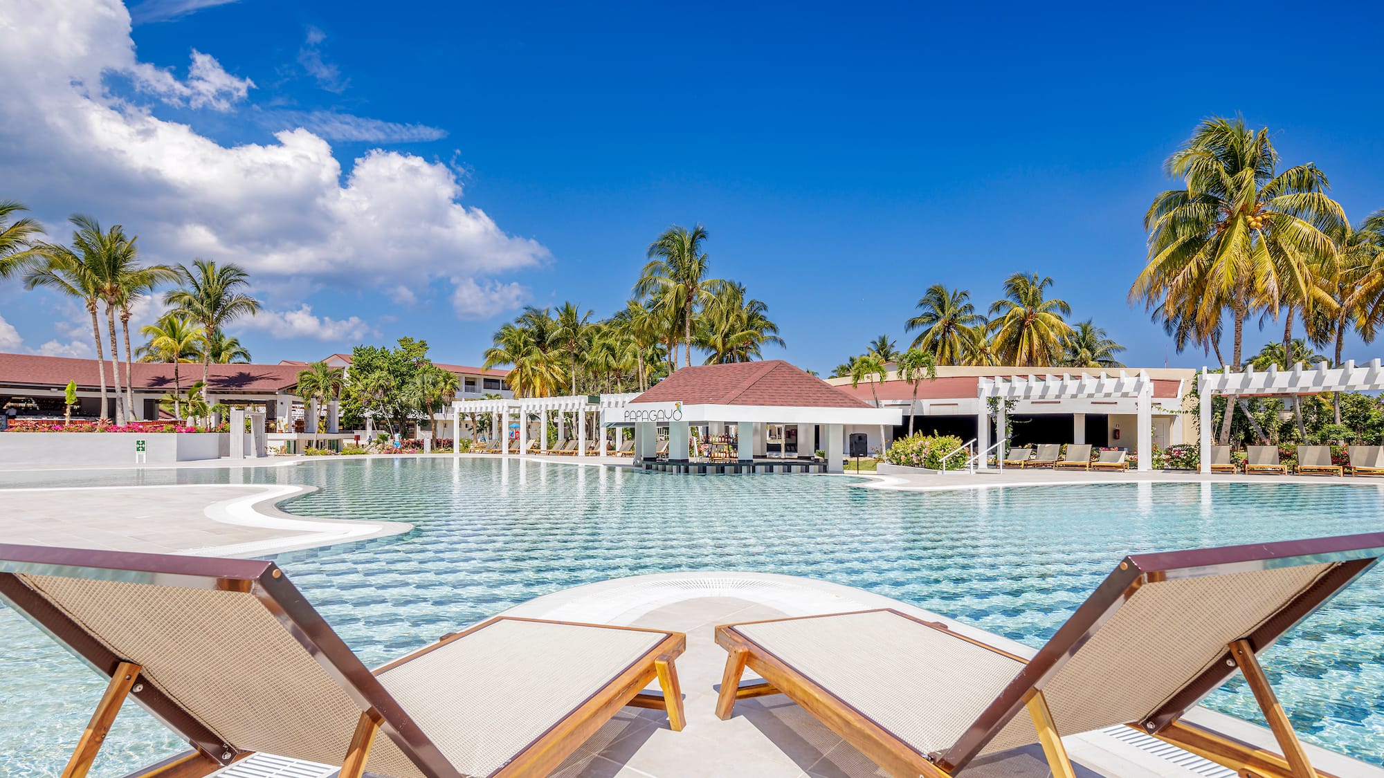 a pool with lounge chairs and palm trees