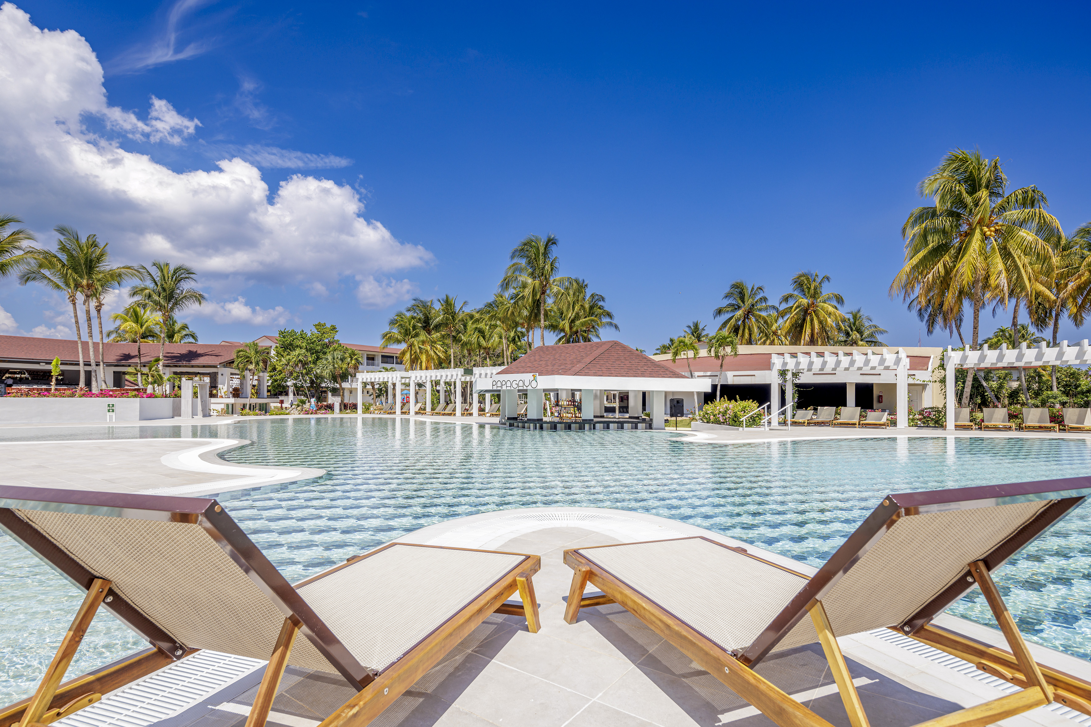 a pool with lounge chairs and palm trees