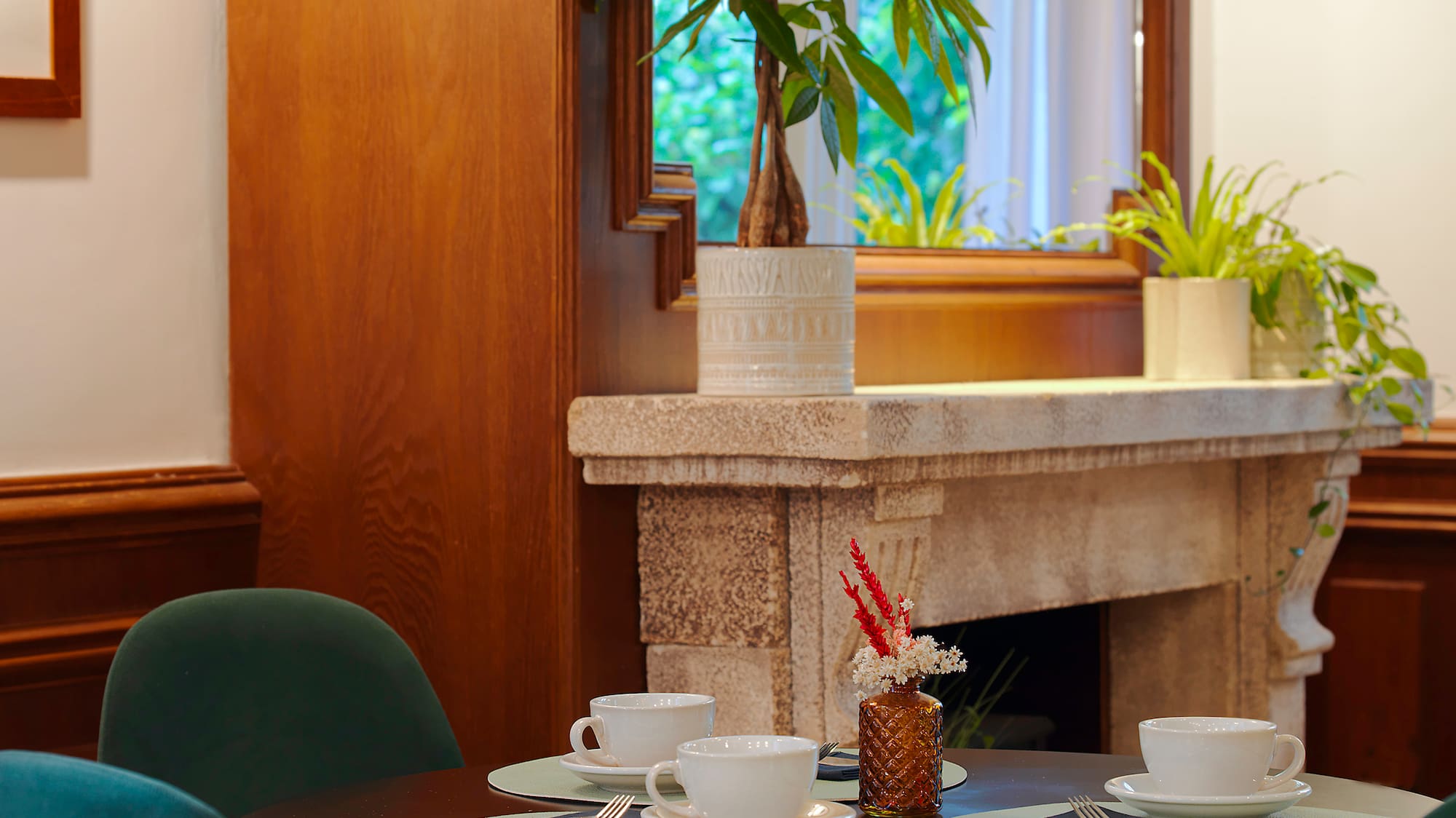 a table with a plant on it