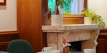 a table with a plant on it