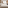Bright modern hotel room with bed, daybed, wooden wall, and wall-mounted TV.