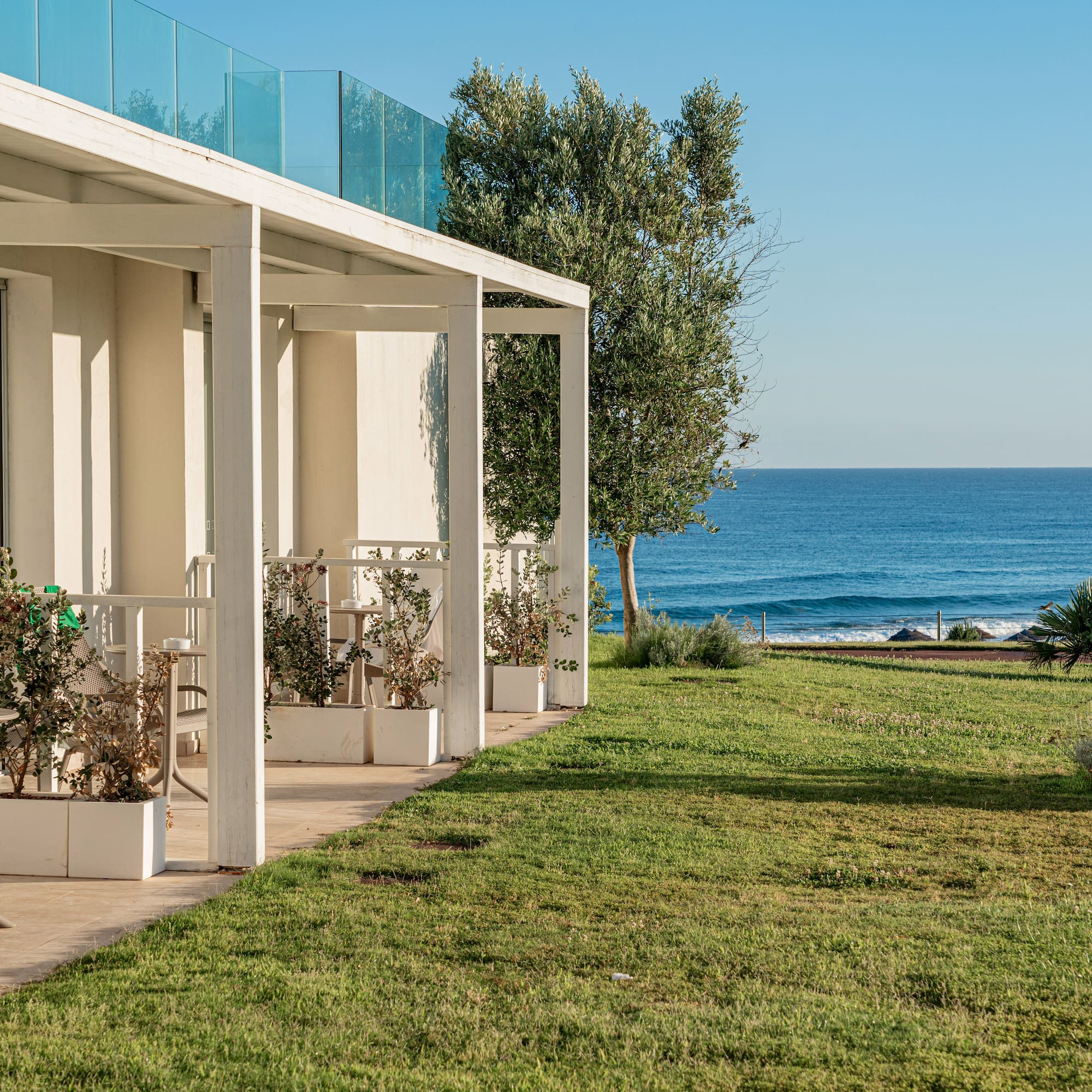 Seaside hotel with ocean view patios, green lawn, and olive tree.