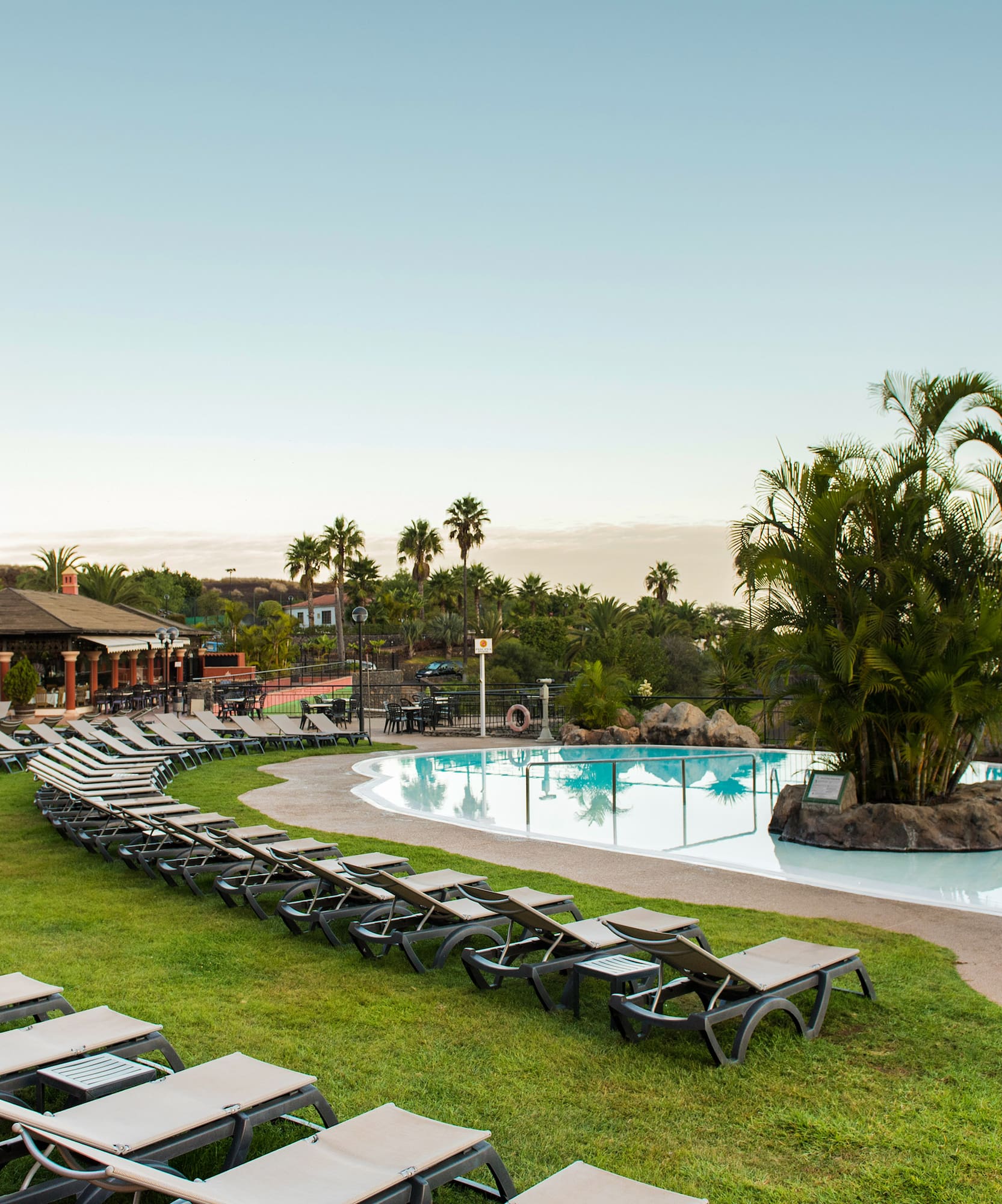 a pool with lounge chairs and palm trees