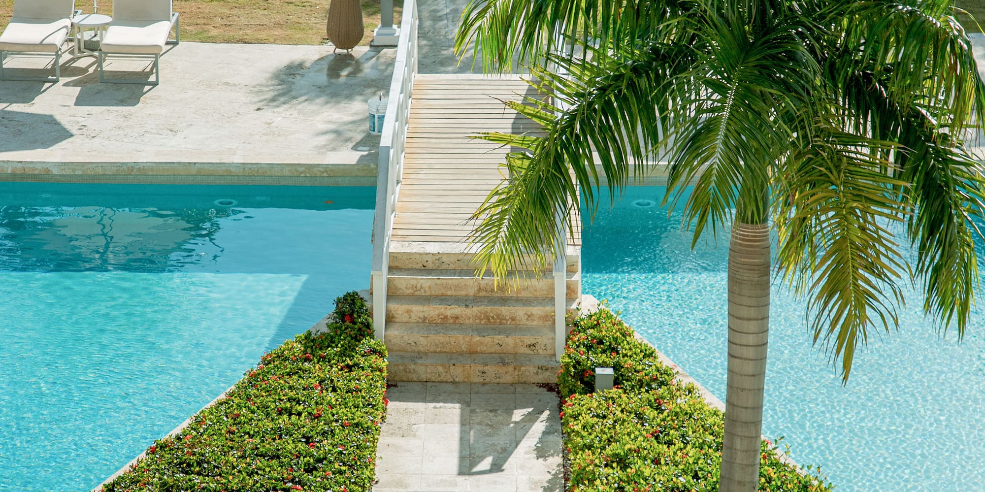 a swimming pool with palm trees and a walkway