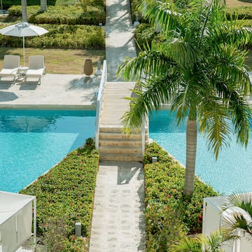 a swimming pool with palm trees and a walkway