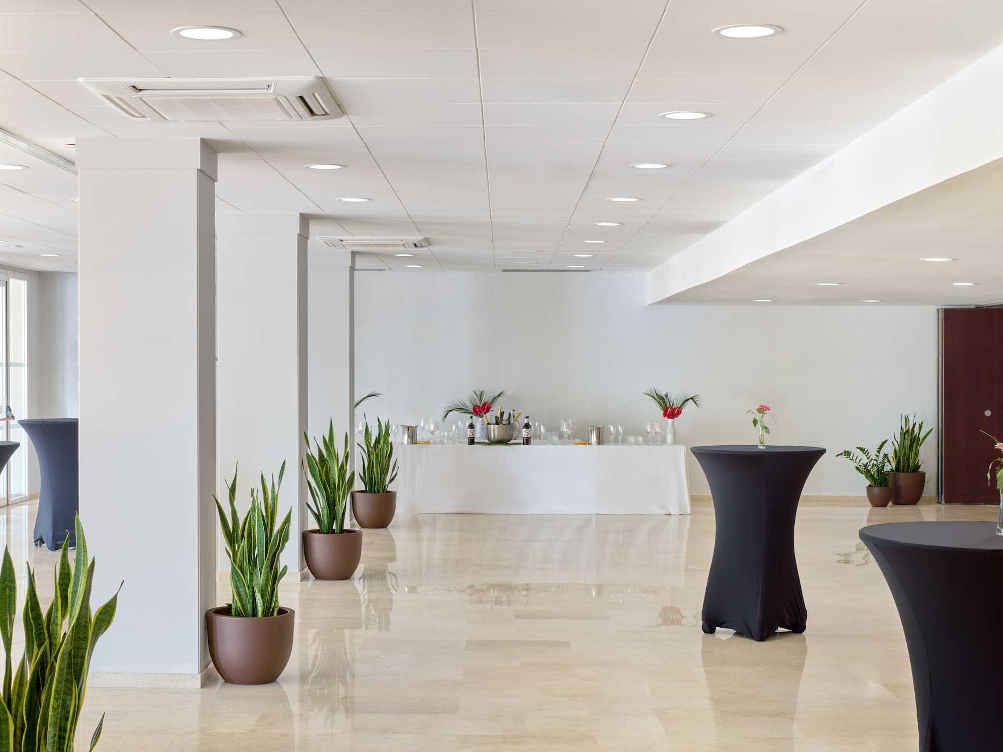 Bright, modern reception hall with cocktail tables, buffet, and snake plants.