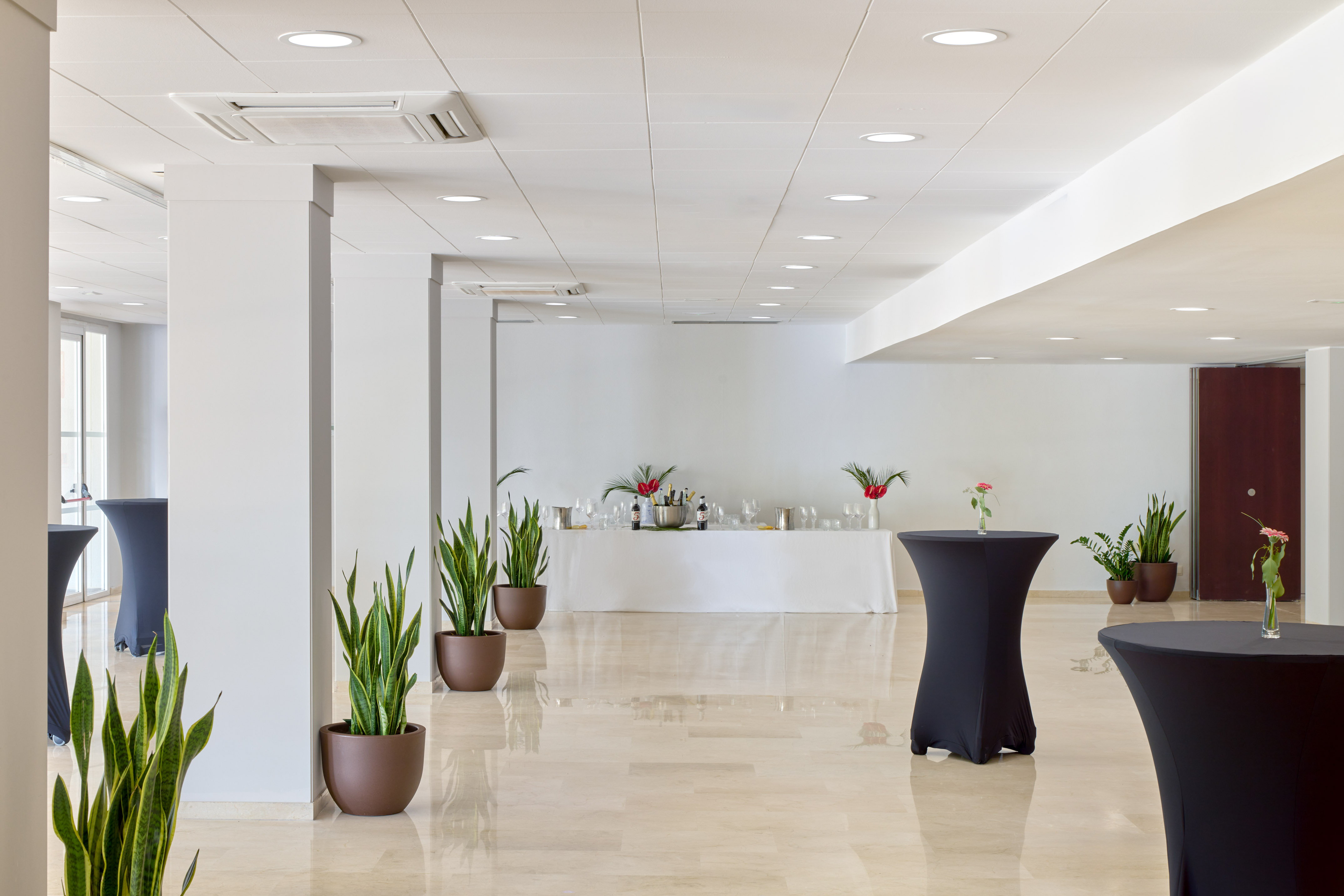 Bright, modern reception hall with cocktail tables, buffet, and snake plants.