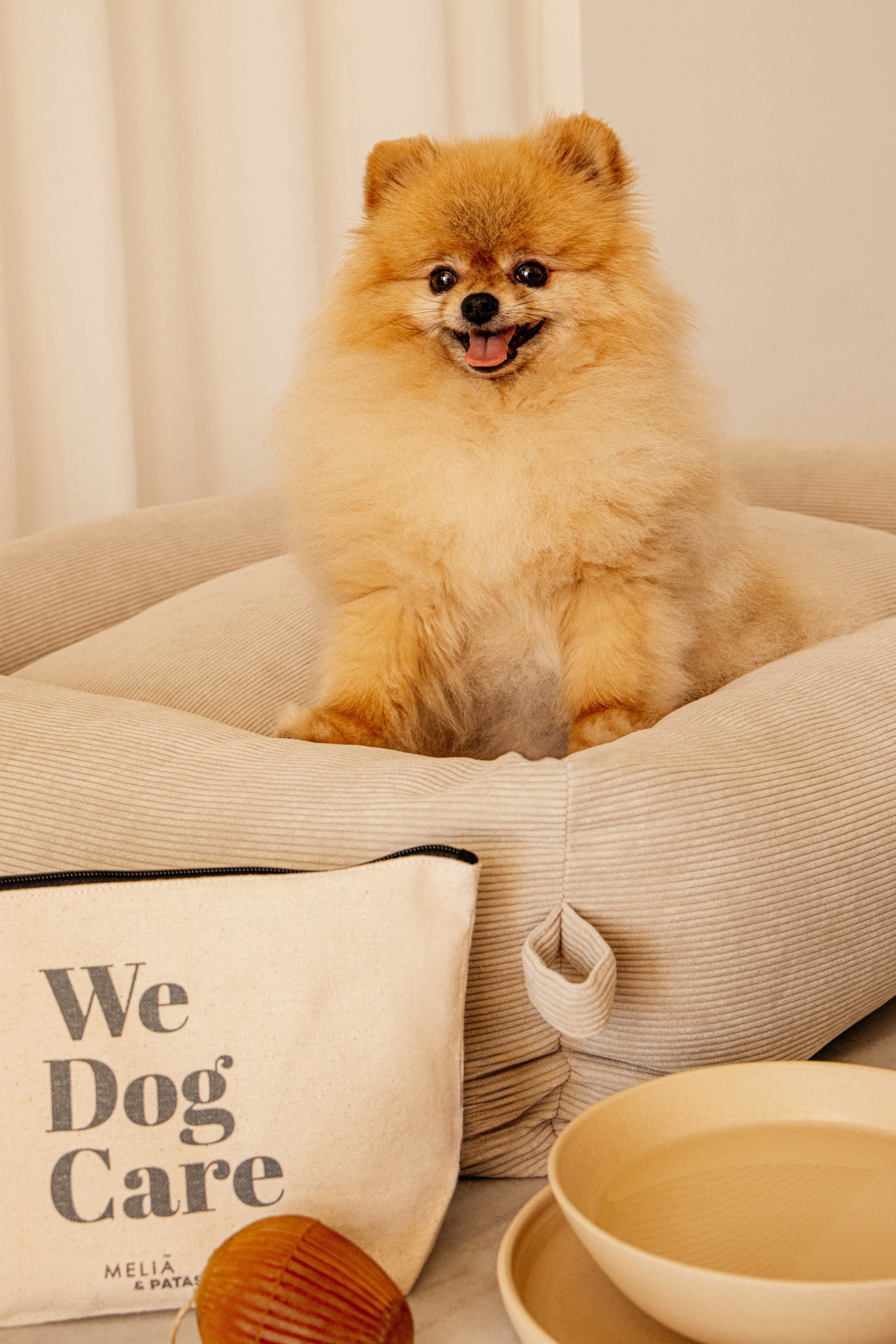 Cute Pomeranian dog in a comfy pet bed with a 'We Dog Care' pouch.