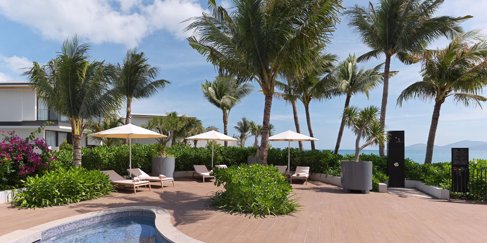 a pool with umbrellas and palm trees