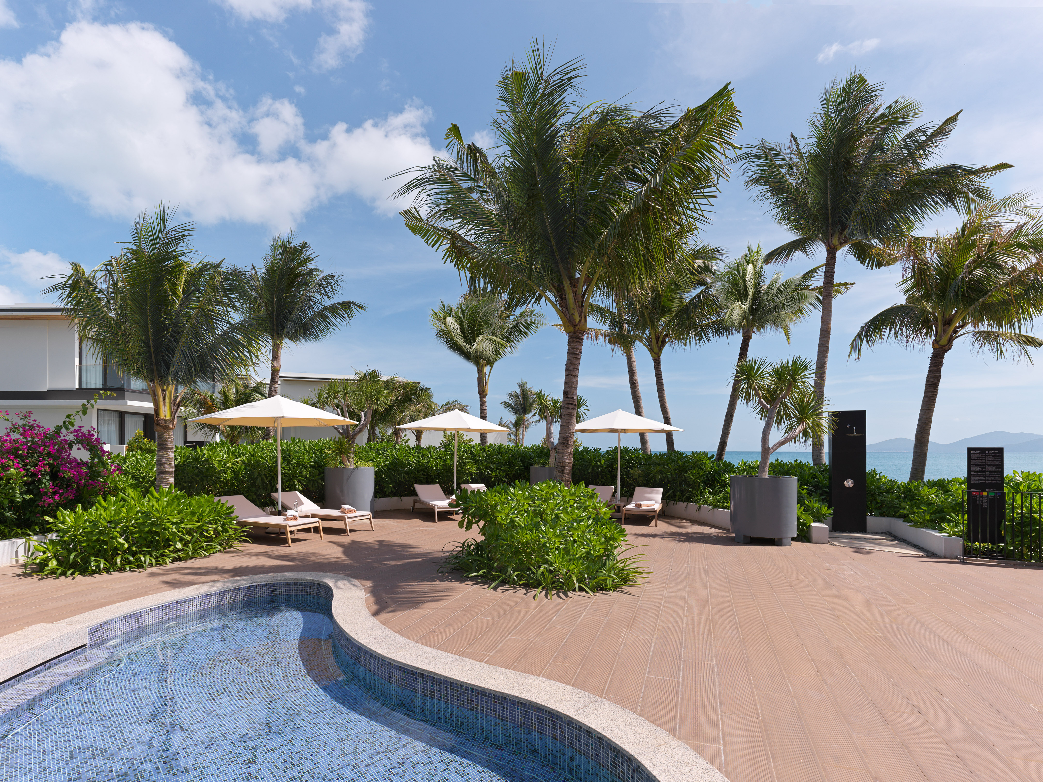 Tropical resort pool deck with palm trees, sun loungers, and ocean view.