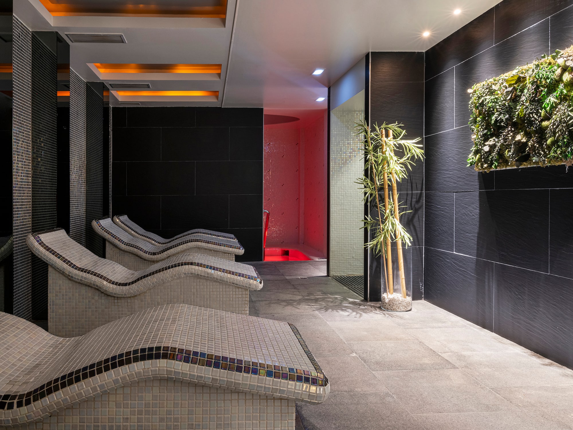 a room with chairs and plants