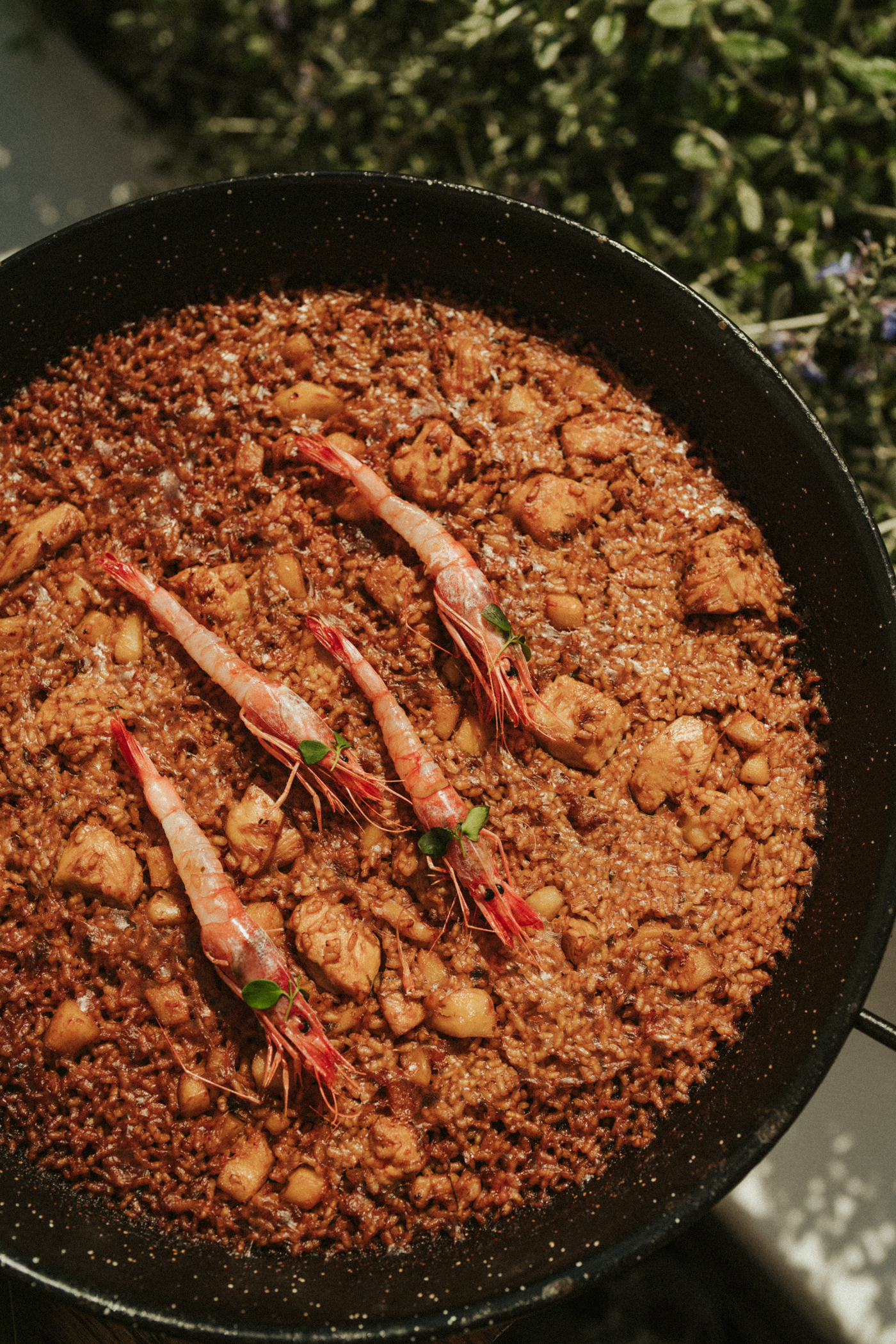 Spanish paella with red prawns, chicken, and rice, prepared outdoors.