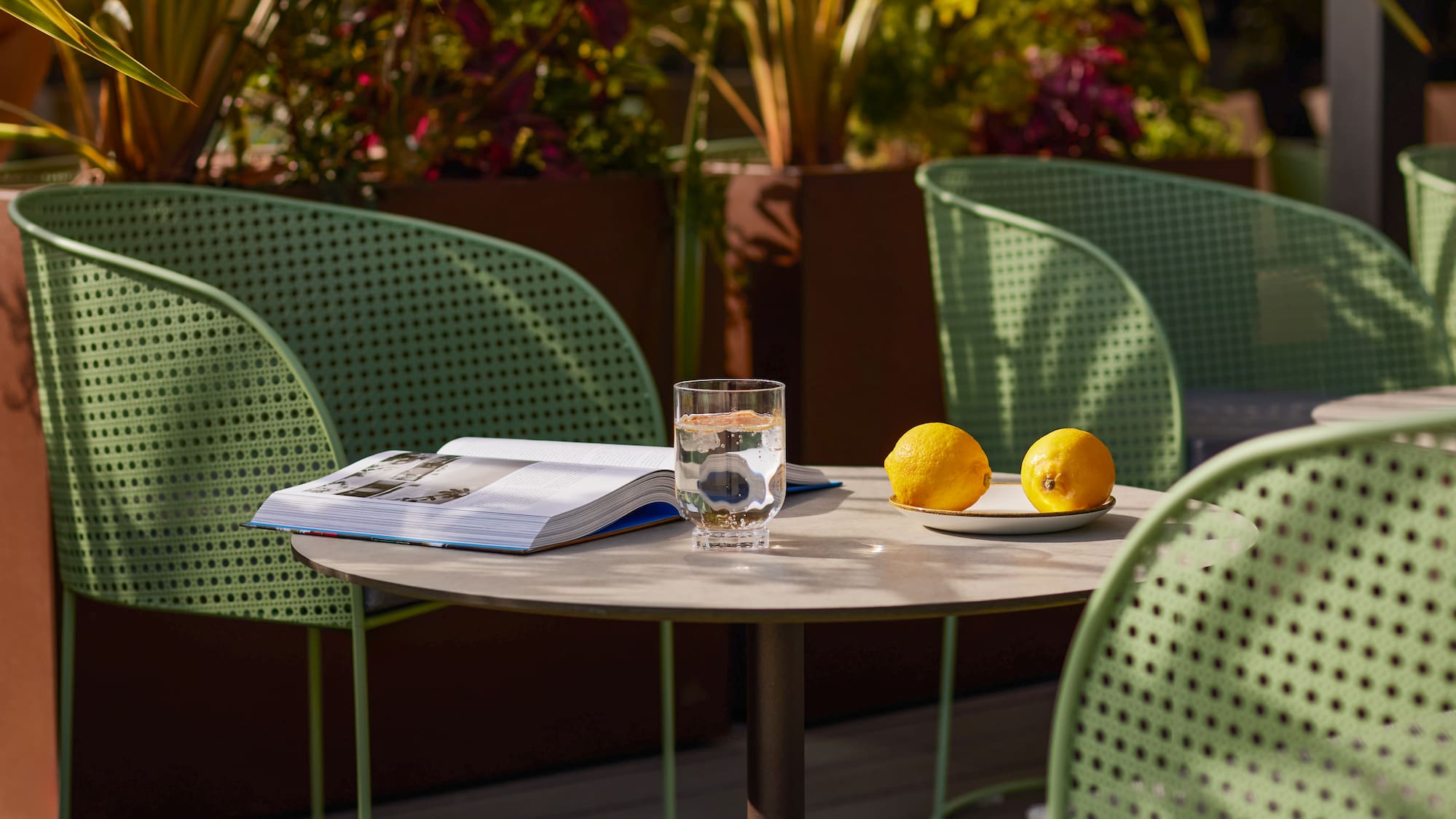 a table with a book and lemons on it