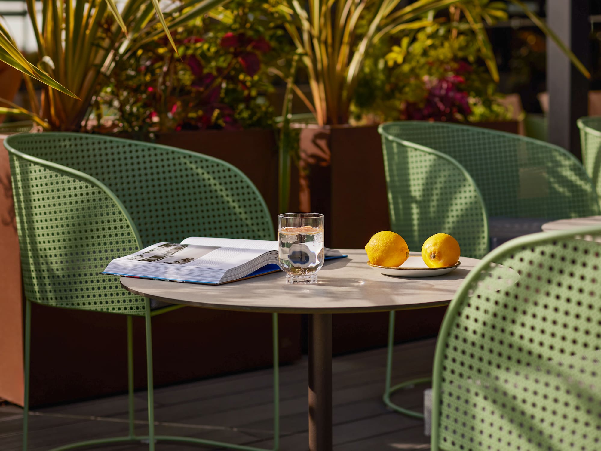 a table with a book and lemons on it