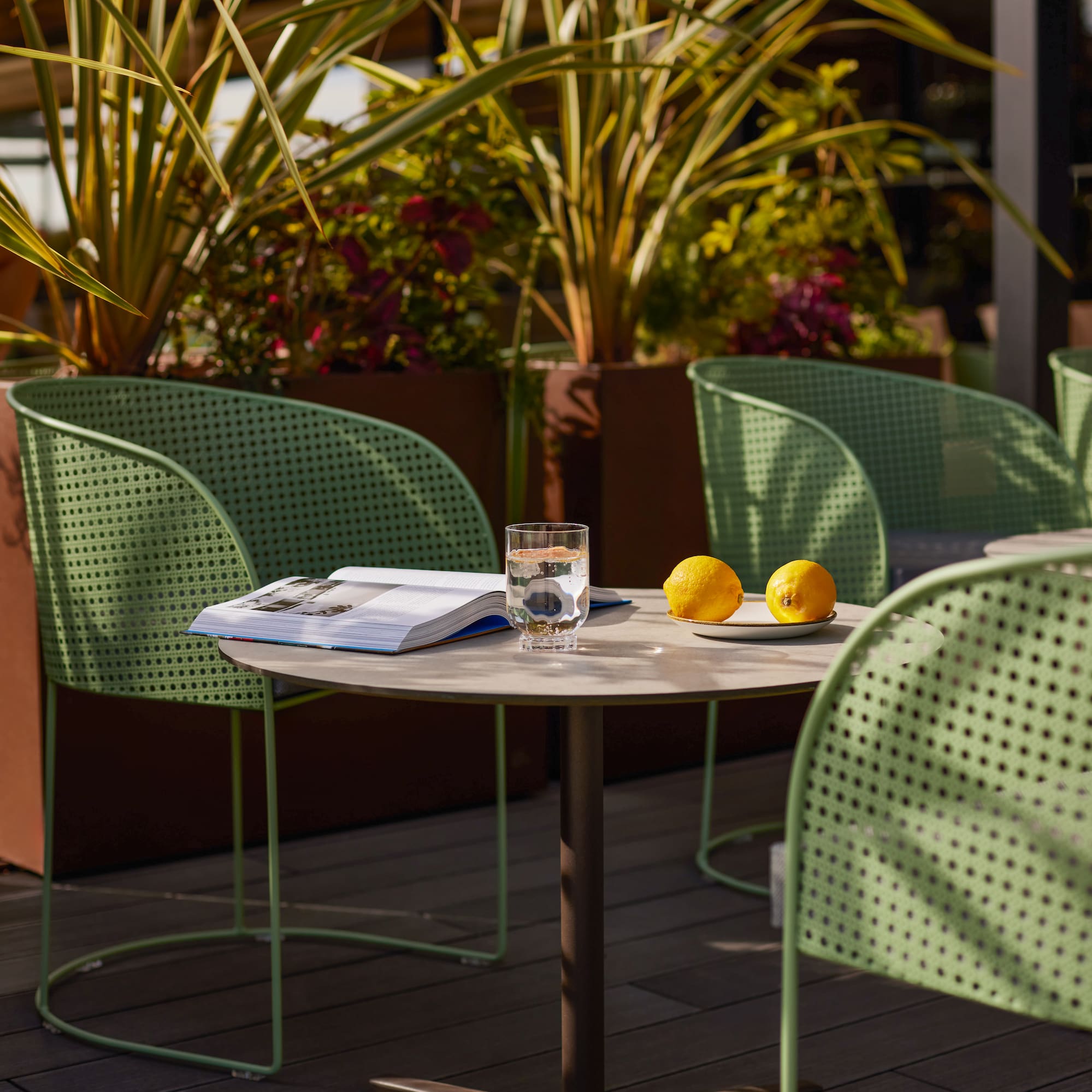 a table with a book and lemons on it