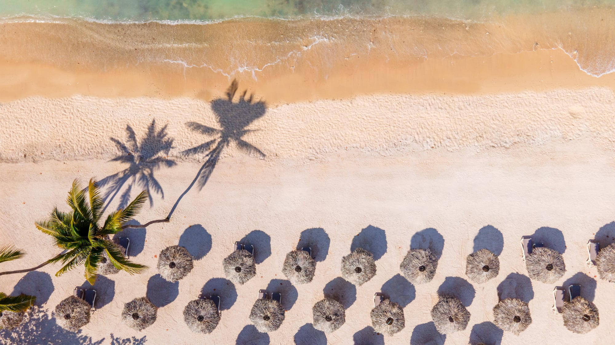 a beach with umbrellas and palm trees
