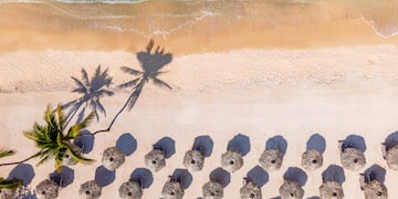 a beach with umbrellas and palm trees