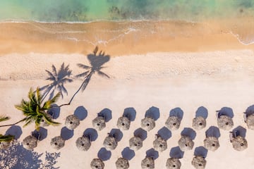 a beach with umbrellas and palm trees