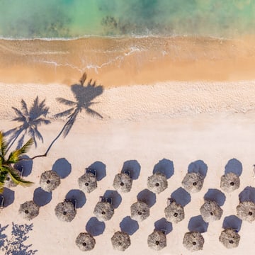 a beach with umbrellas and palm trees