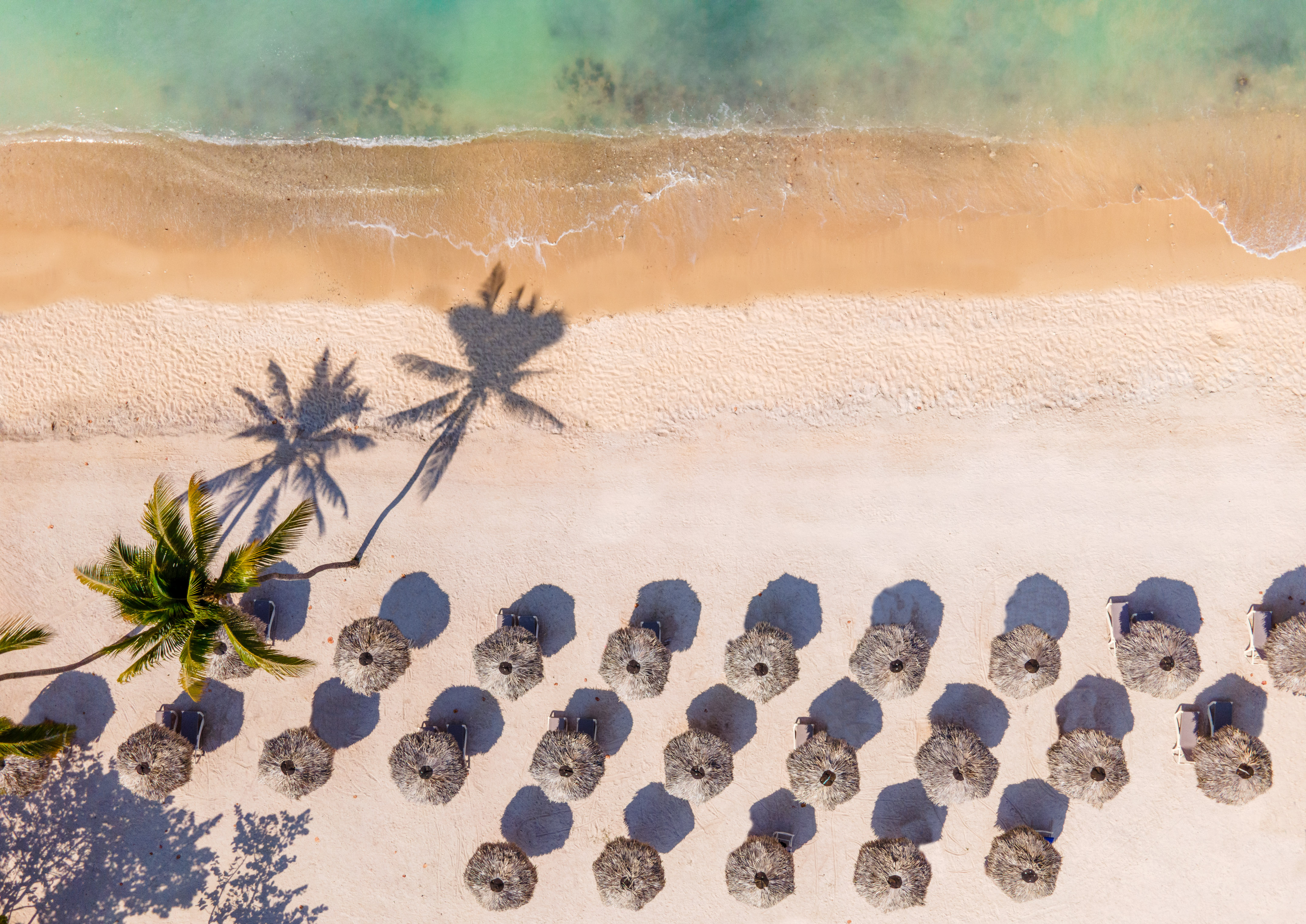 a beach with umbrellas and palm trees