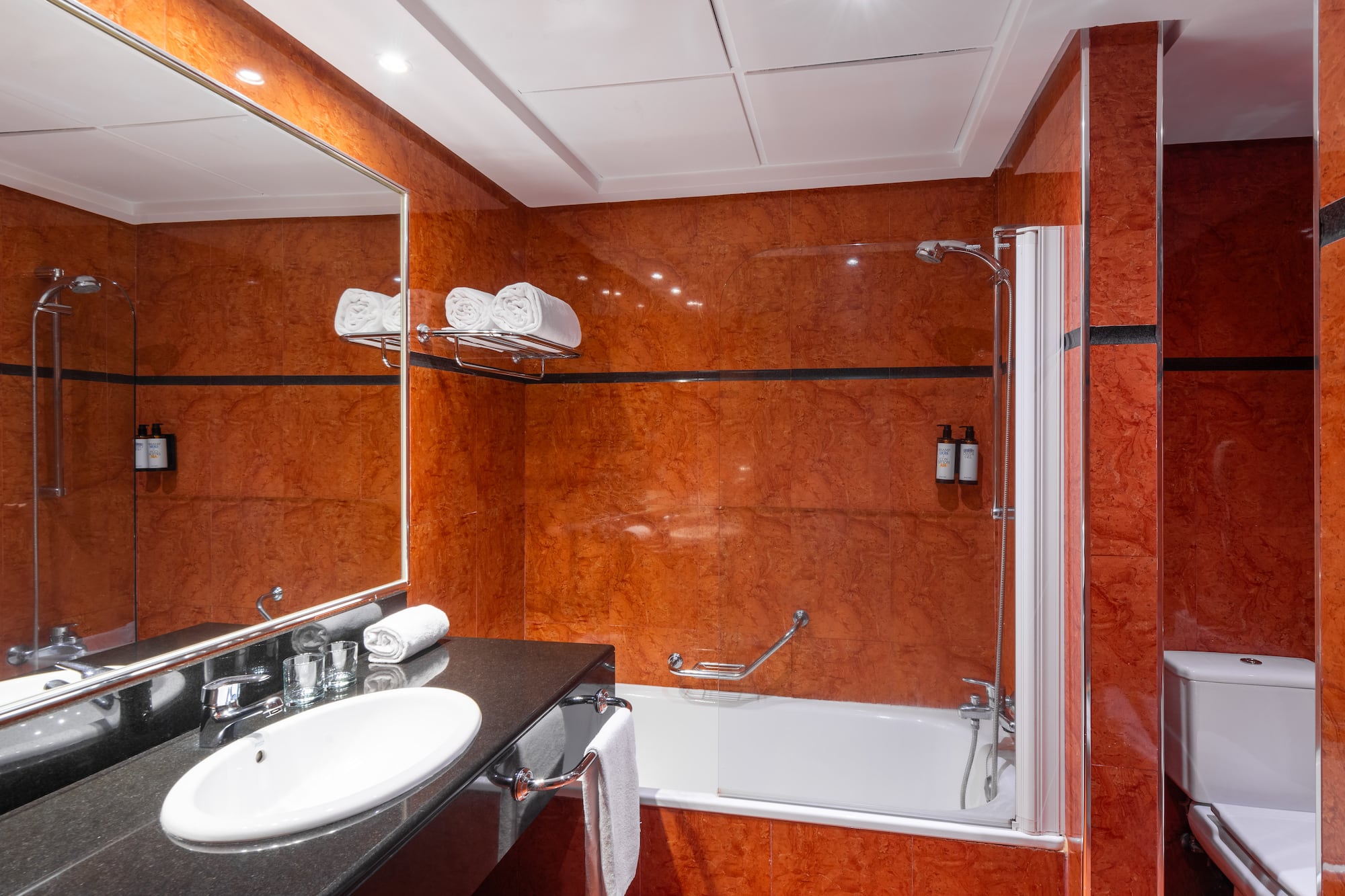 a bathroom with a sink and a shower