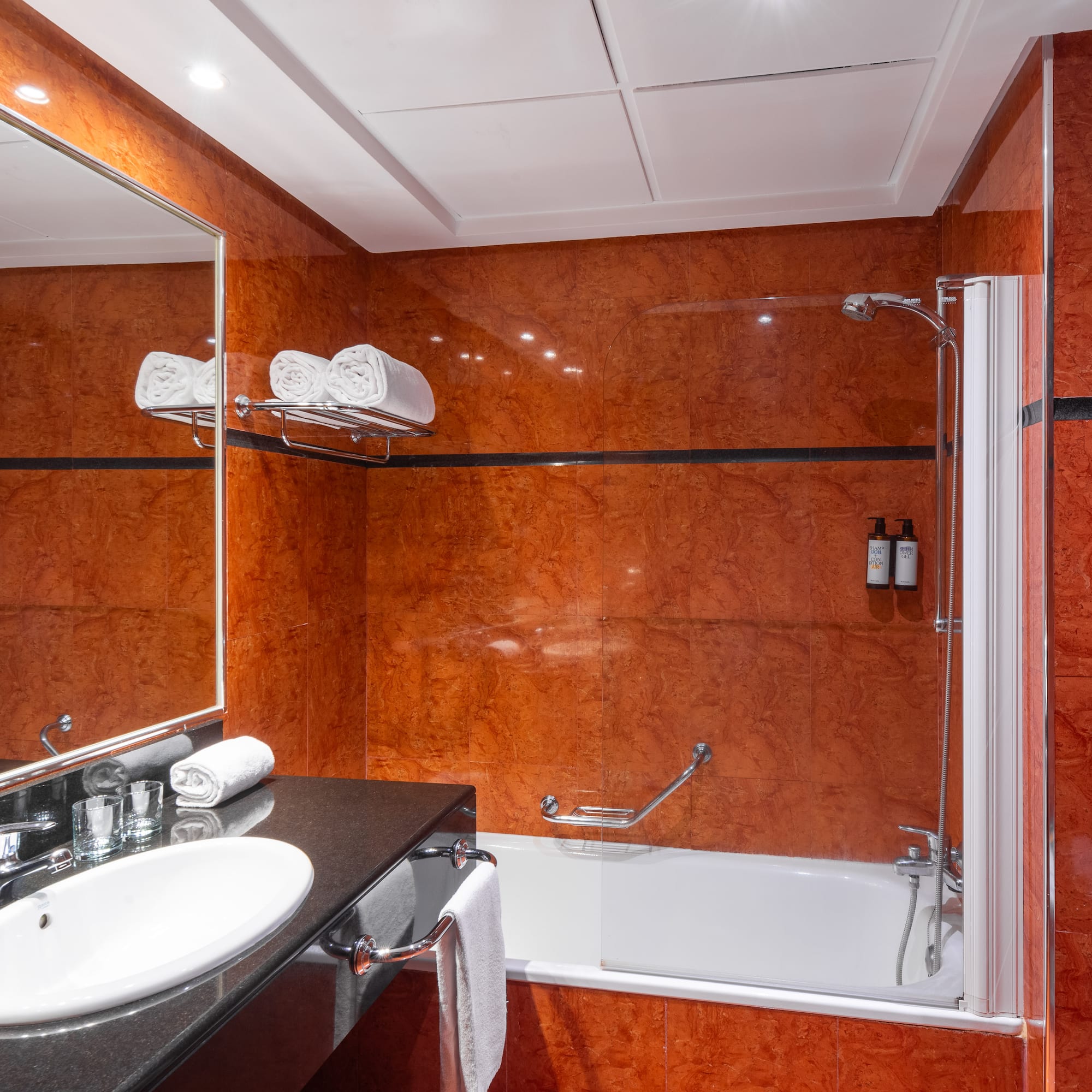 a bathroom with a sink and a shower