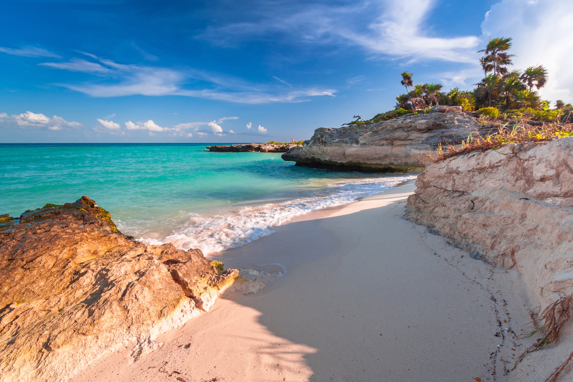 Playa paradisíaca con mar turquesa, arena, acantilados y palmeras.