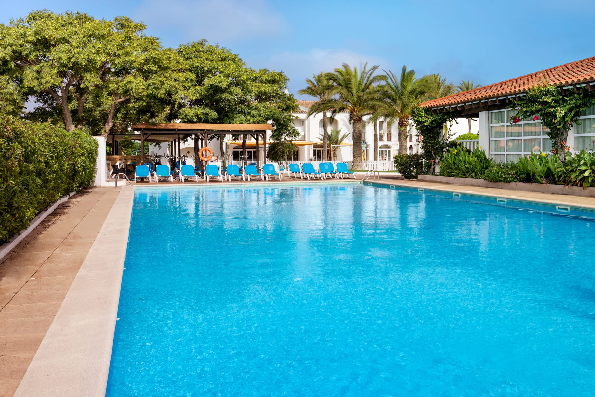 Resort swimming pool with blue lounge chairs, palm trees, and hotel buildings.